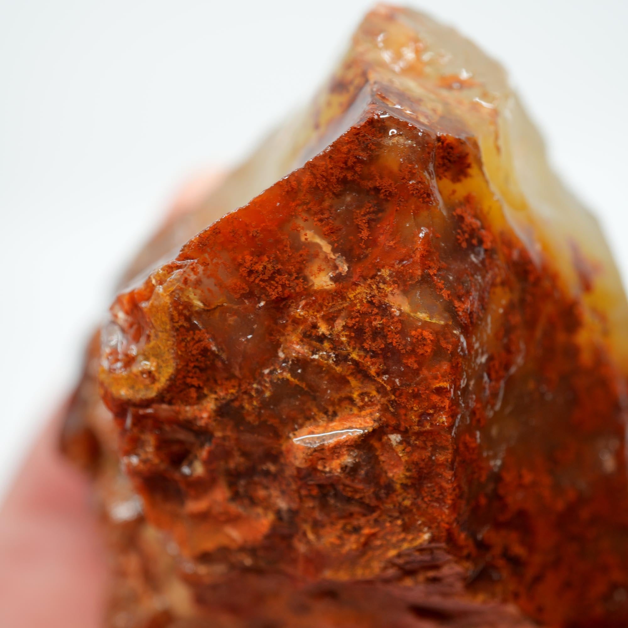 Carey Plume Agate Rough - Red Plume in White Foggy Agate Old Stock