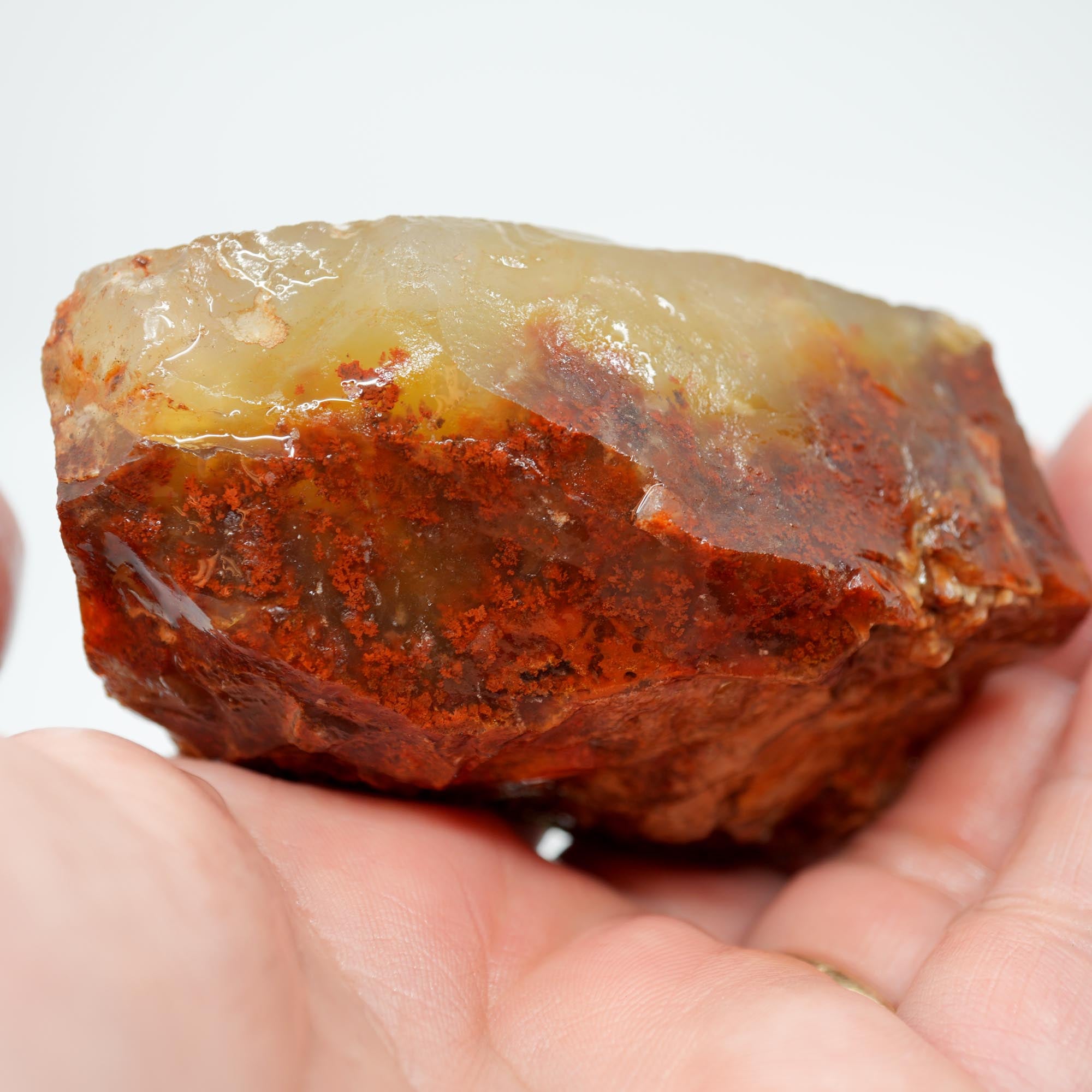 Carey Plume Agate Rough - Red Plume in White Foggy Agate Old Stock
