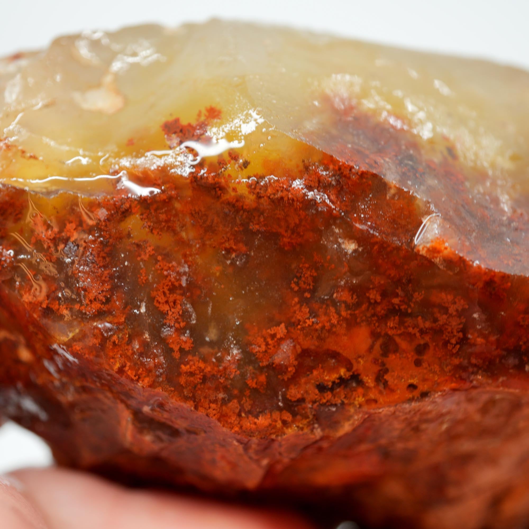 Carey Plume Agate Rough - Red Plume in White Foggy Agate Old Stock