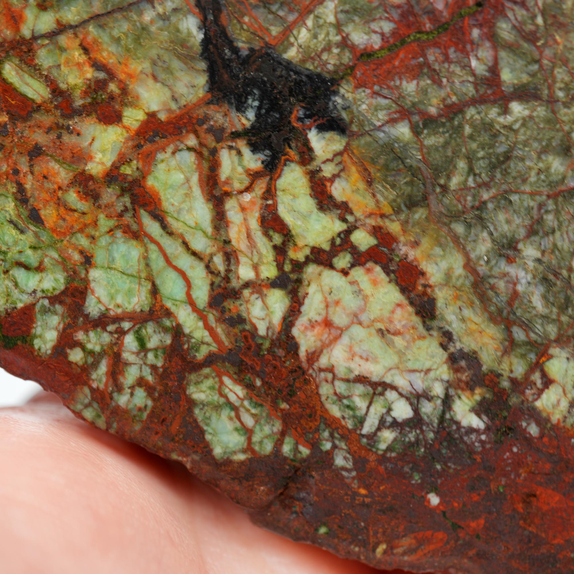 Mystery Copper-Based Mineral Rough - Green and Red from Quartzsite Collection