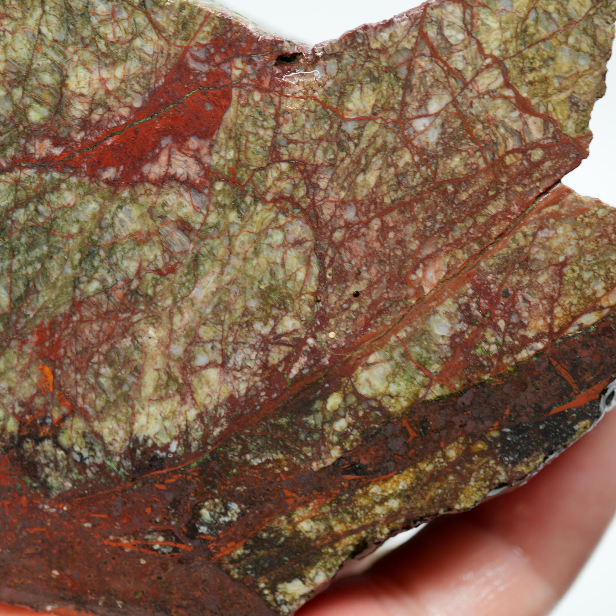 Mystery Copper-Based Mineral Rough - Green and Red from Quartzsite Collection