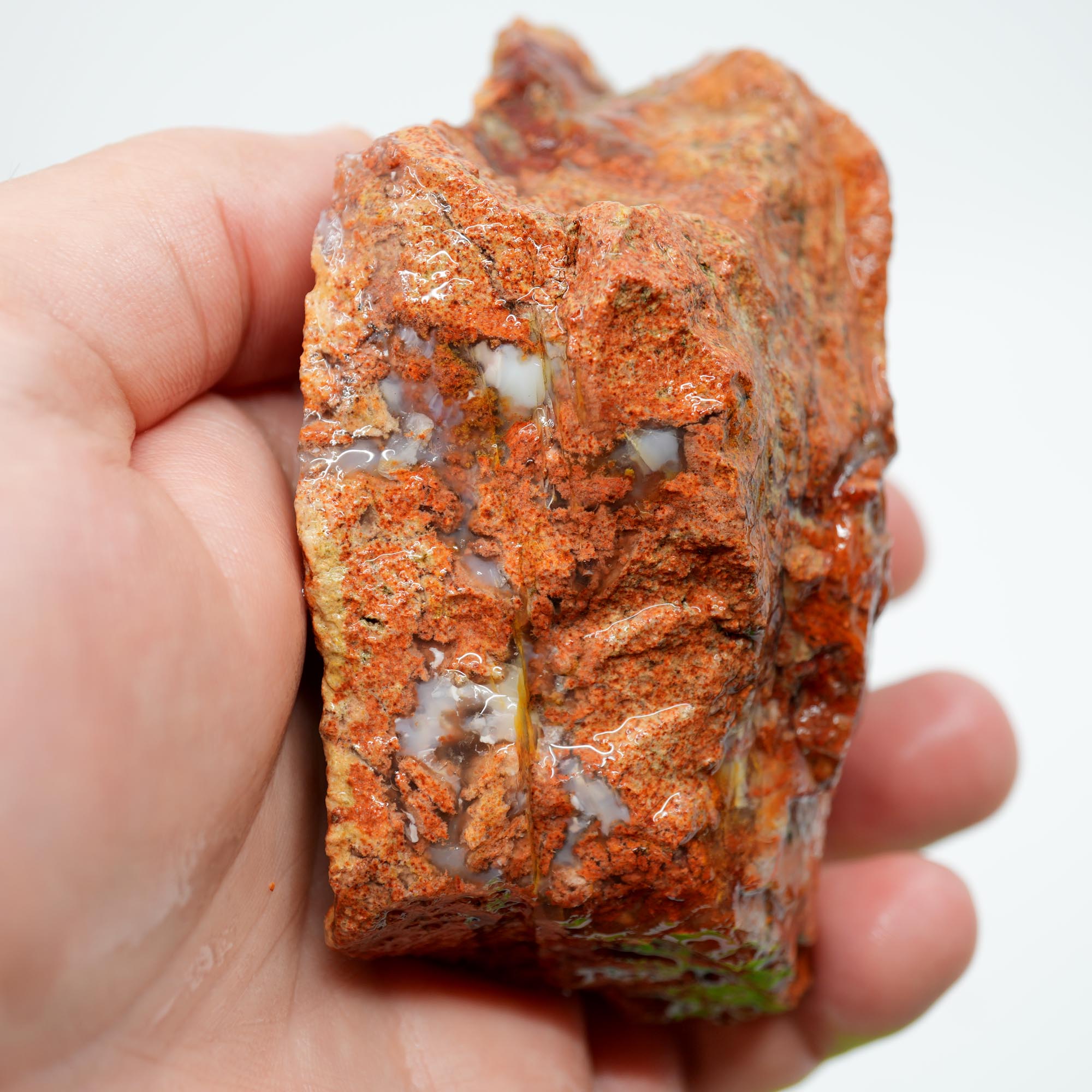Carey Plume Agate Rough - Original Quant Collection with Red Rhyolite