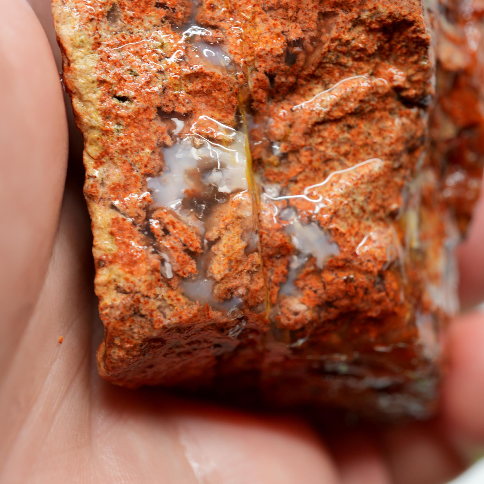 Carey Plume Agate Rough - Original Quant Collection with Red Rhyolite