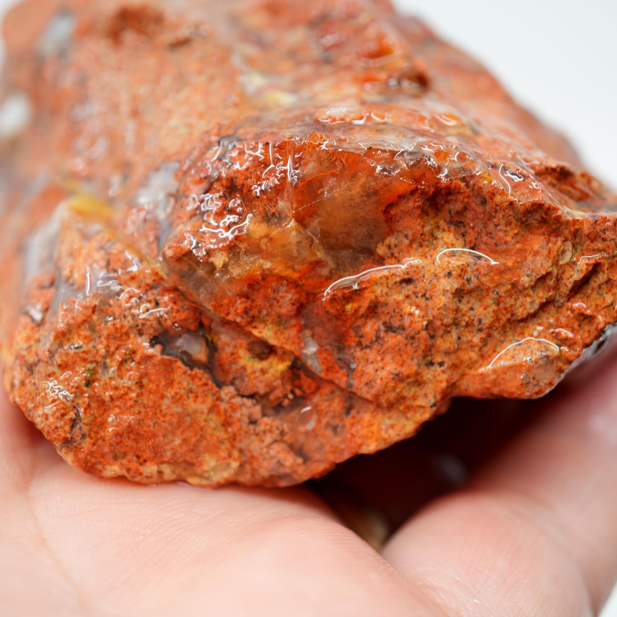Carey Plume Agate Rough - Original Quant Collection with Red Rhyolite