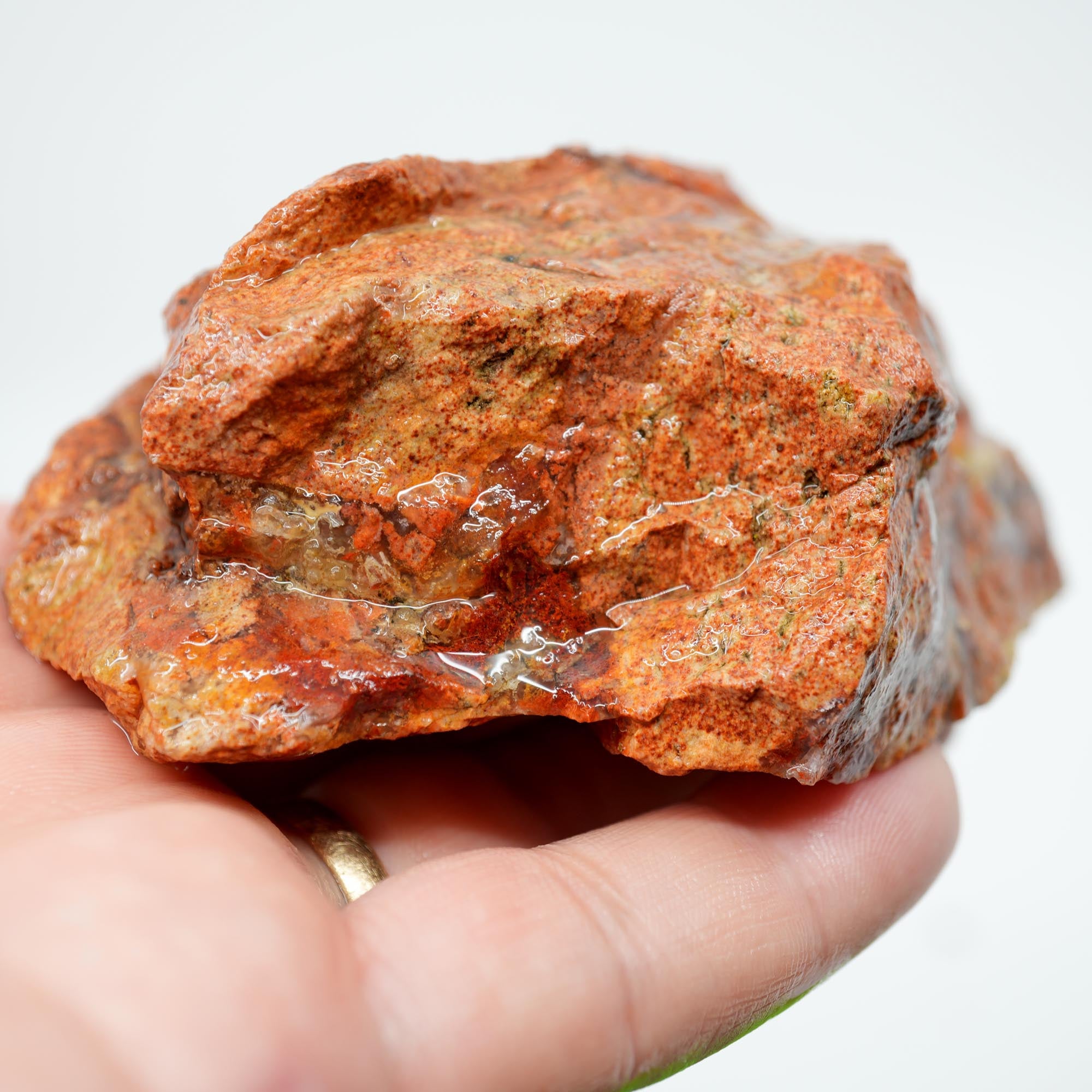 Carey Plume Agate Rough - Original Quant Collection with Red Rhyolite