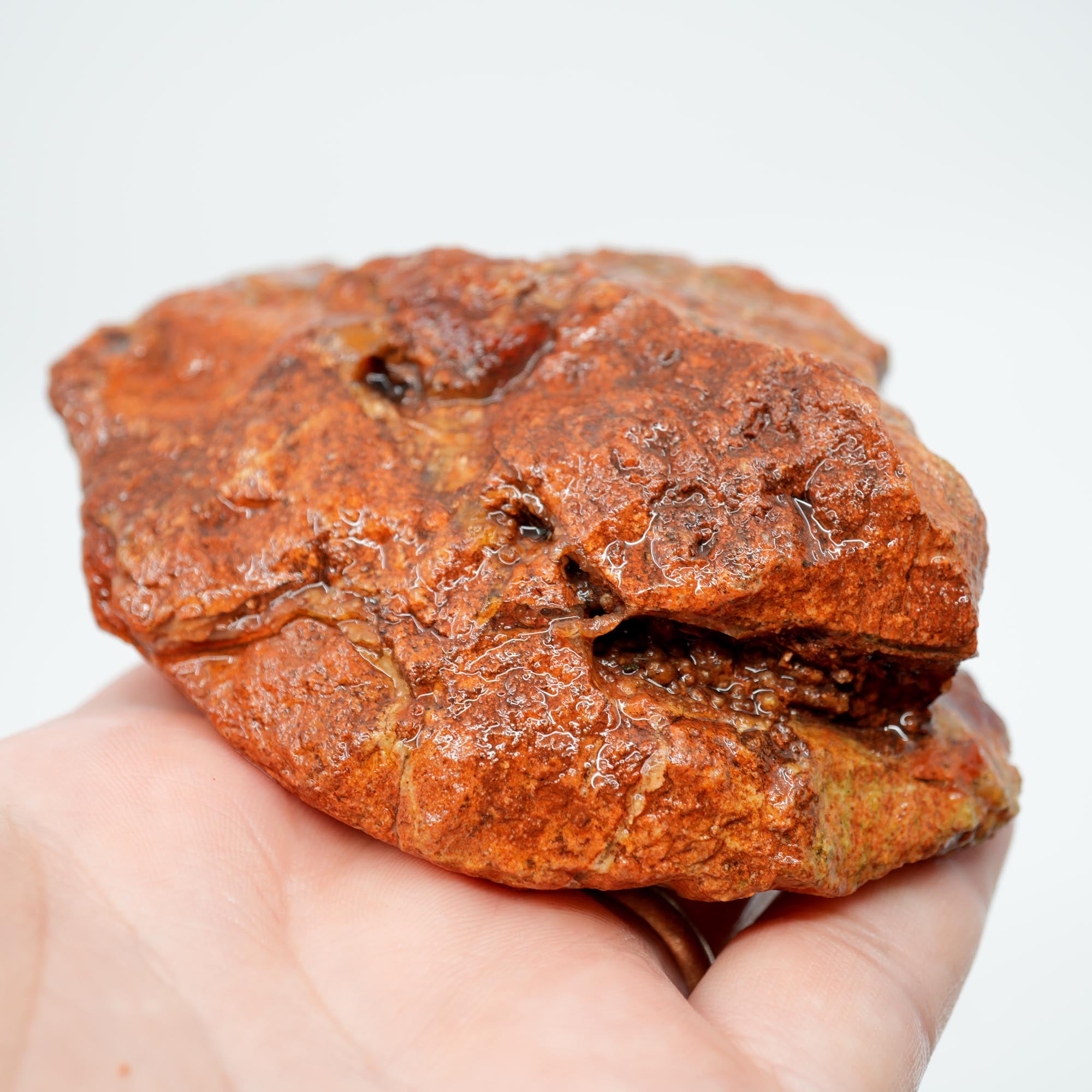 Carey Plume Agate Rough - Original Quant Collection with Red Rhyolite