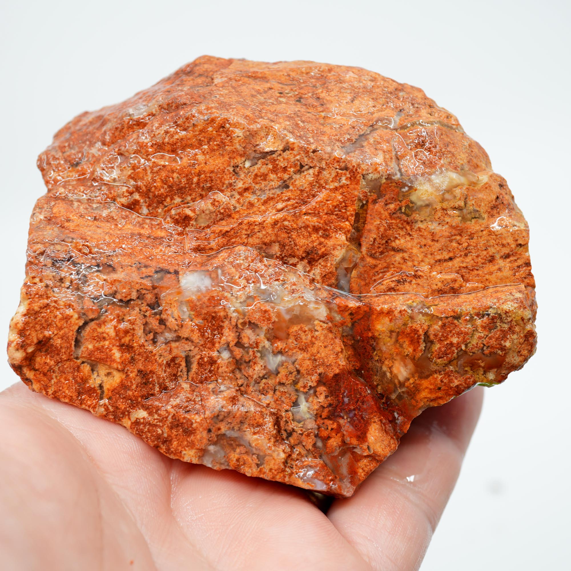 Carey Plume Agate Rough - Original Quant Collection with Red Rhyolite