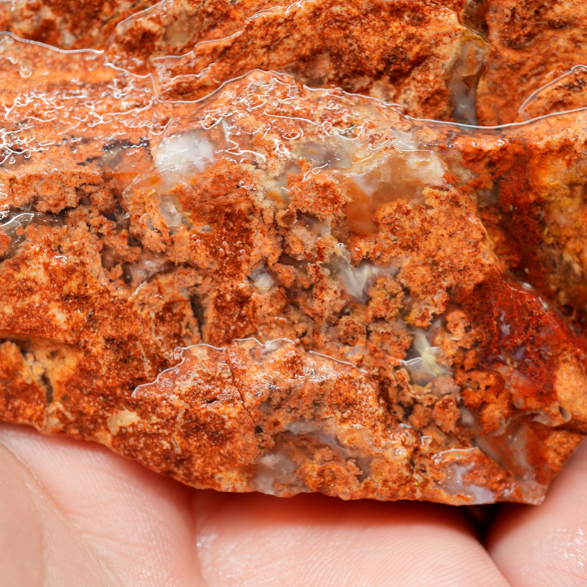 Carey Plume Agate Rough - Original Quant Collection with Red Rhyolite