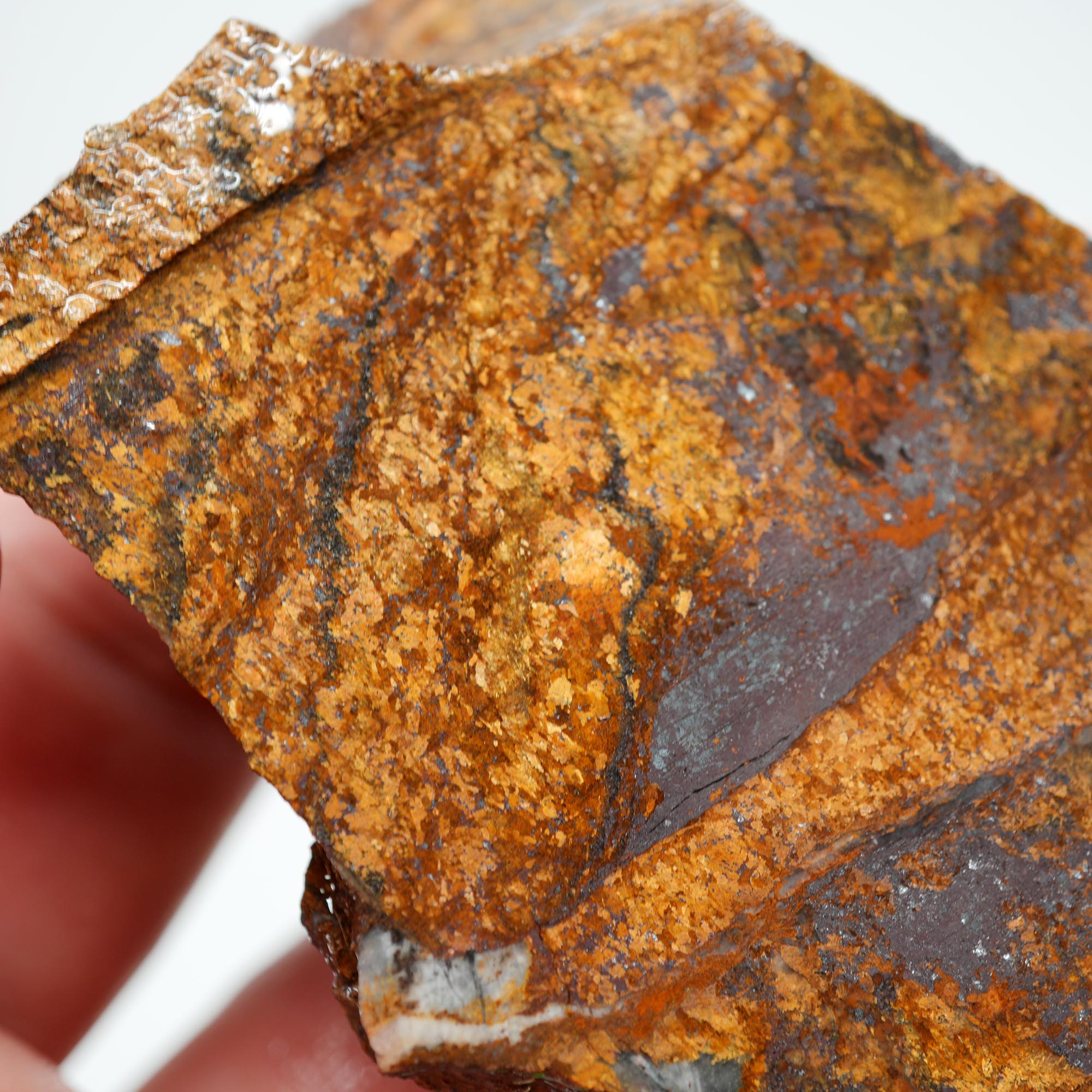 Bronzite Endcut - Cut for Best Flash Chatoyant Display