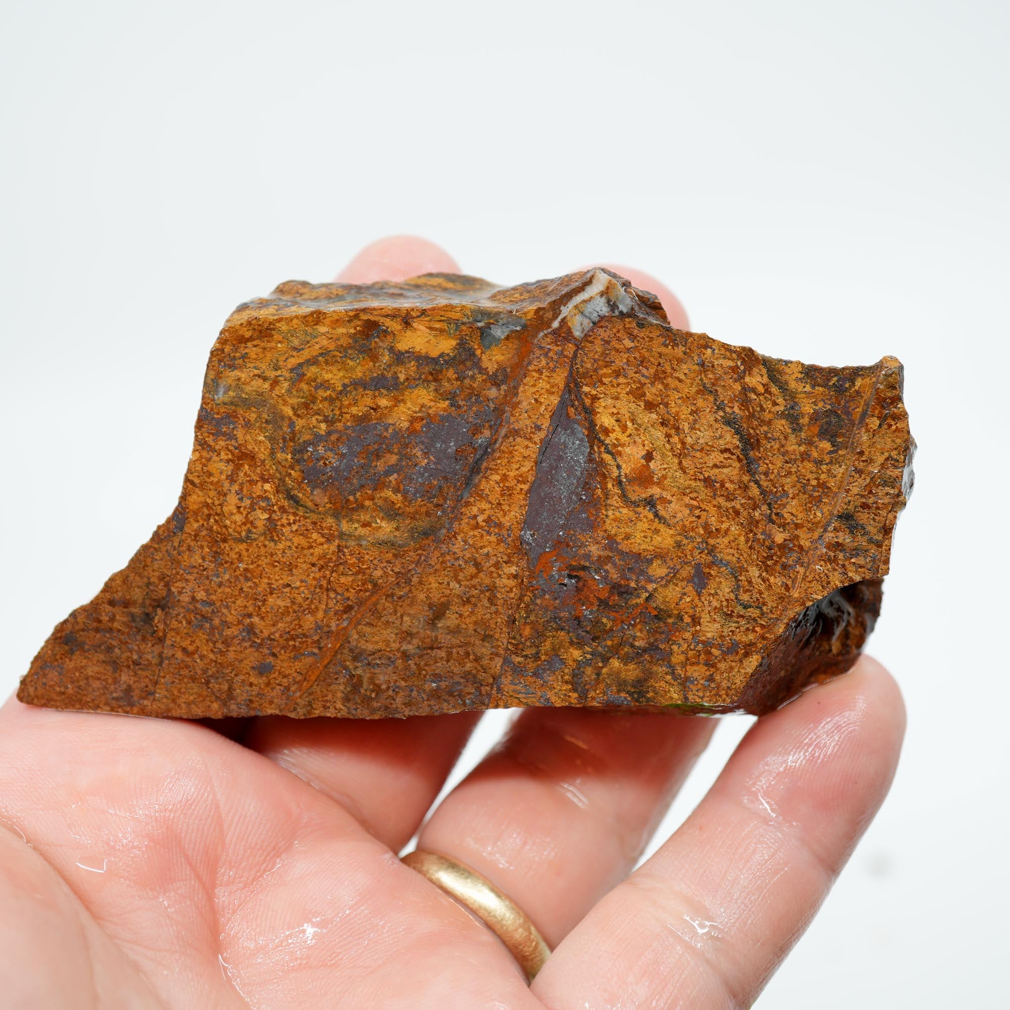 Bronzite Endcut - Cut for Best Flash Chatoyant Display