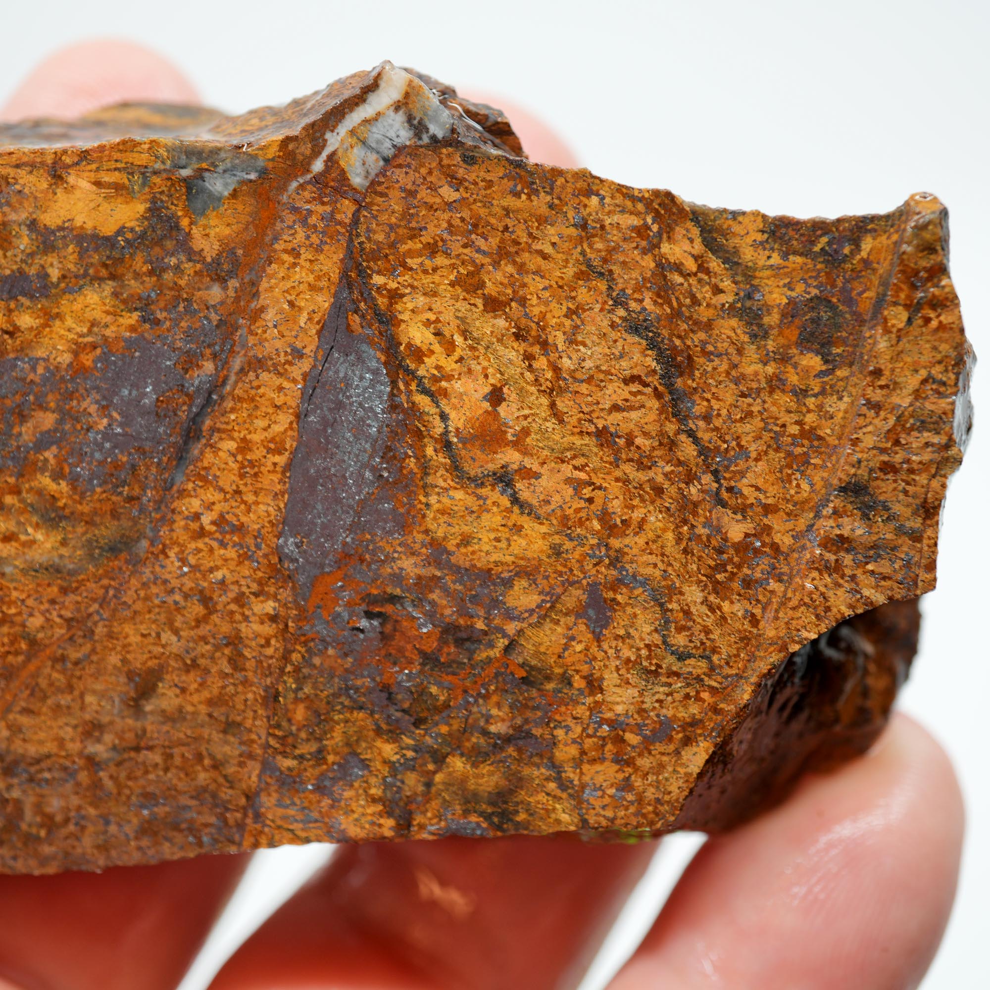 Bronzite Endcut - Cut for Best Flash Chatoyant Display