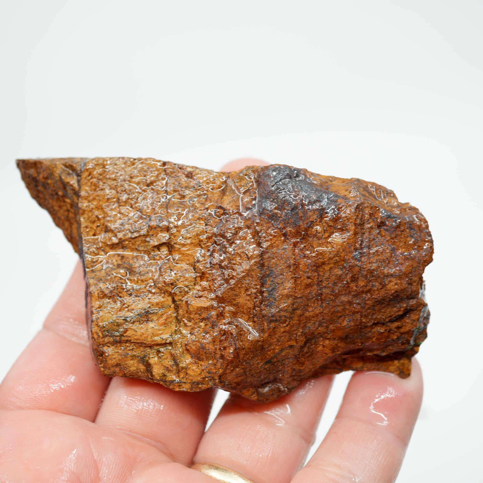 Bronzite Endcut - Cut for Best Flash Chatoyant Display