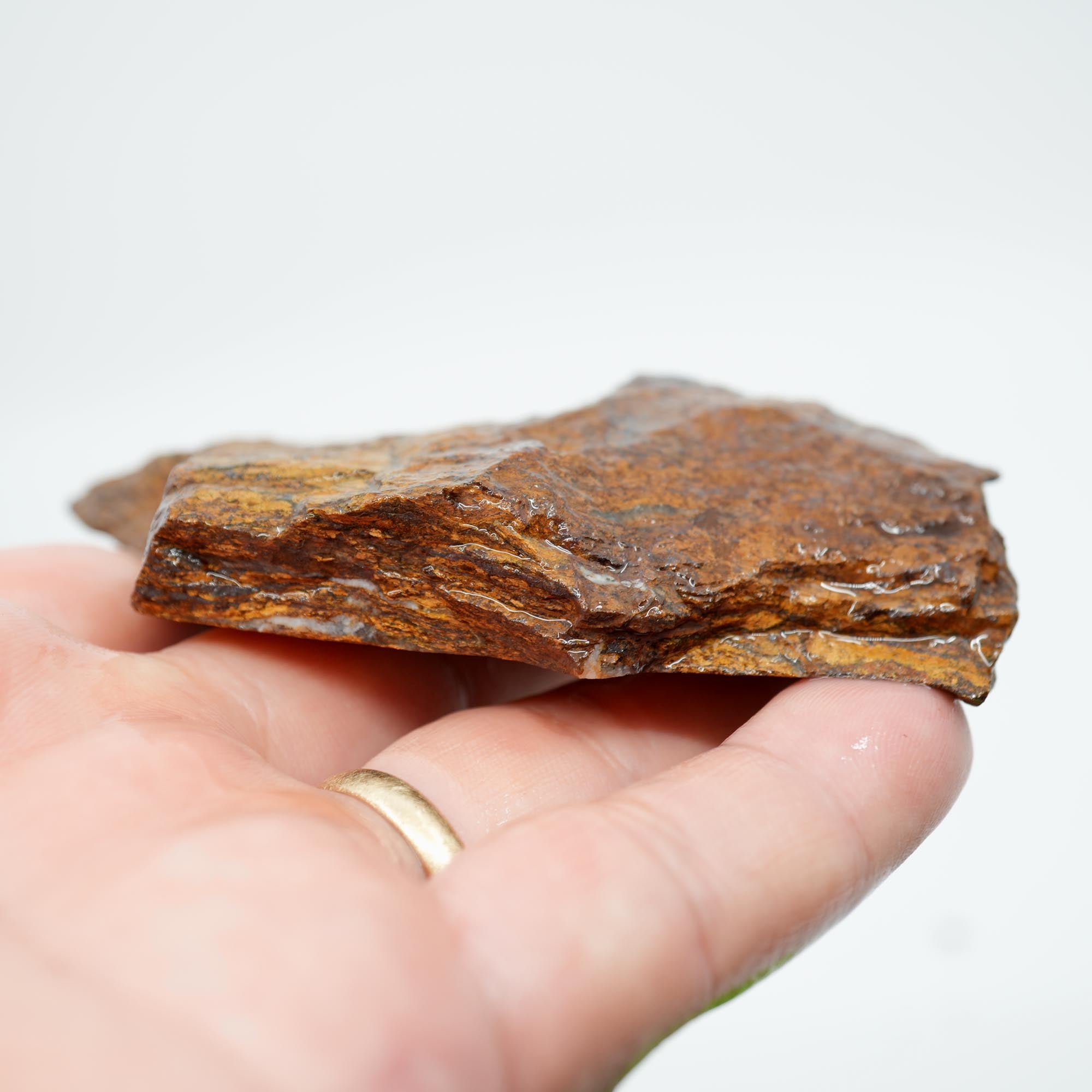 Bronzite Endcut - Cut for Best Flash Chatoyant Display