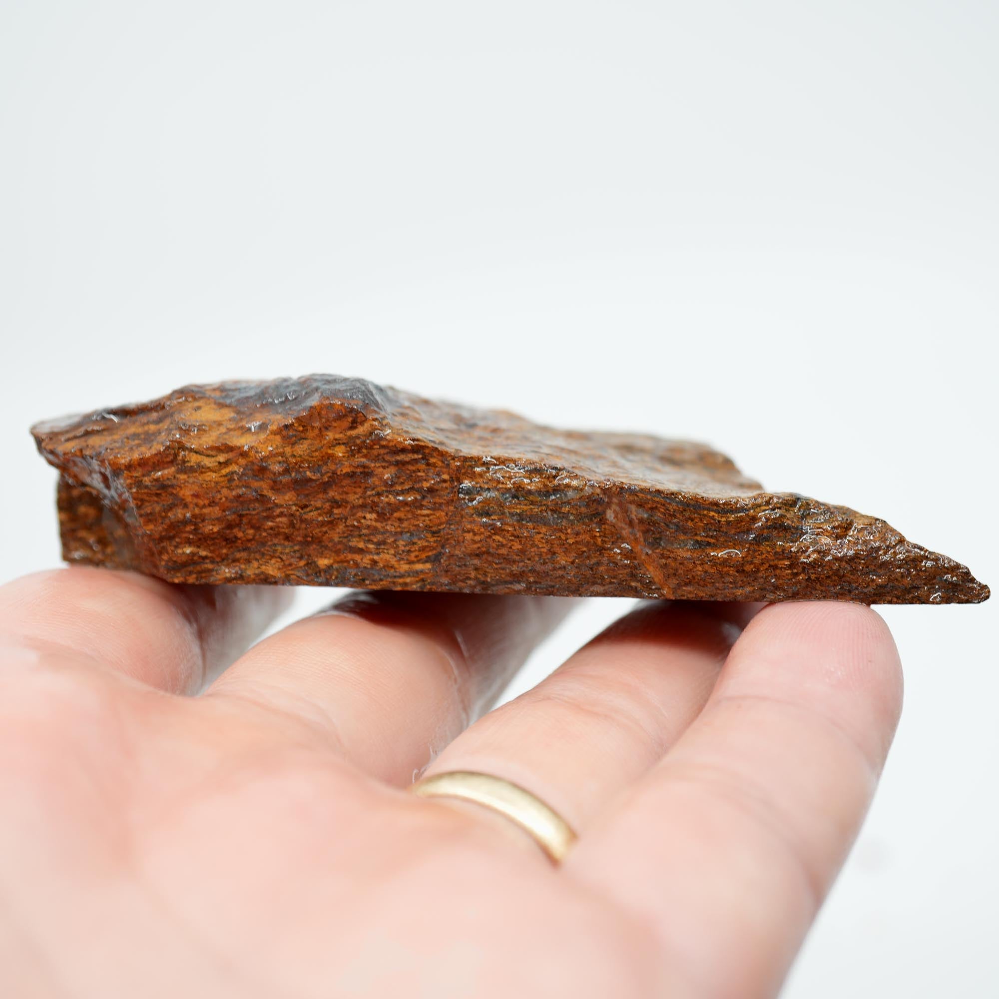 Bronzite Endcut - Cut for Best Flash Chatoyant Display