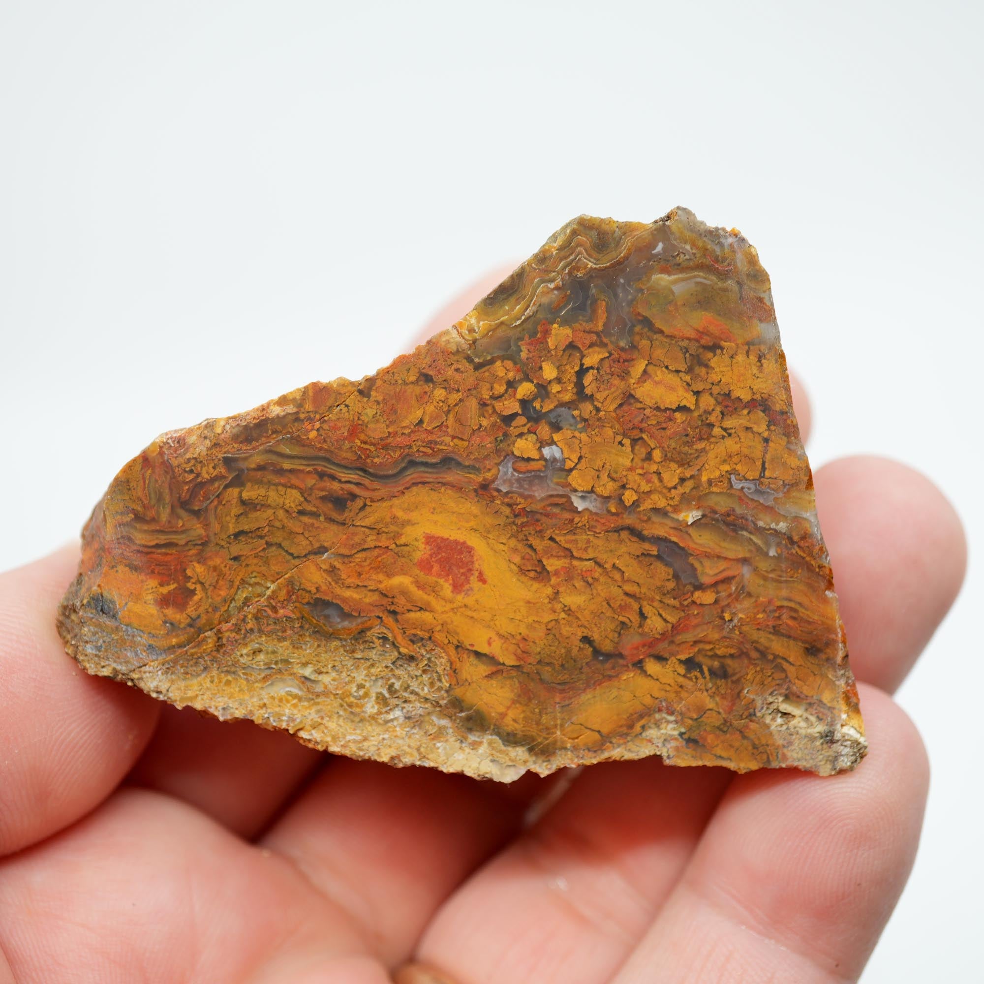 Jumpin' Jeep Plume Agate Rough - Butterscotch Oil Paint Pattern with Breccia