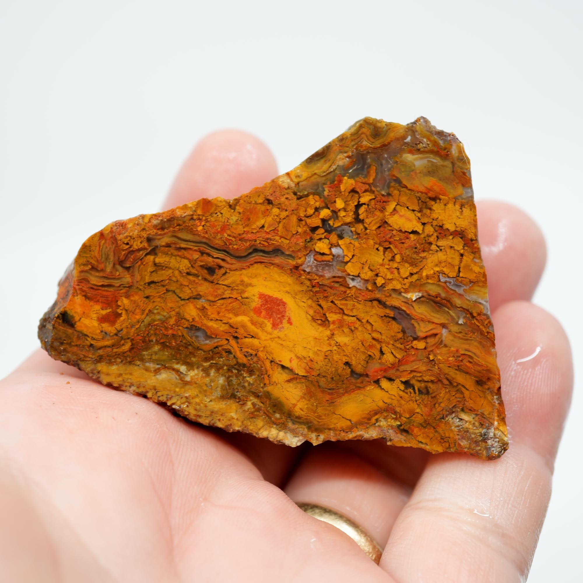 Jumpin' Jeep Plume Agate Rough - Butterscotch Oil Paint Pattern with Breccia