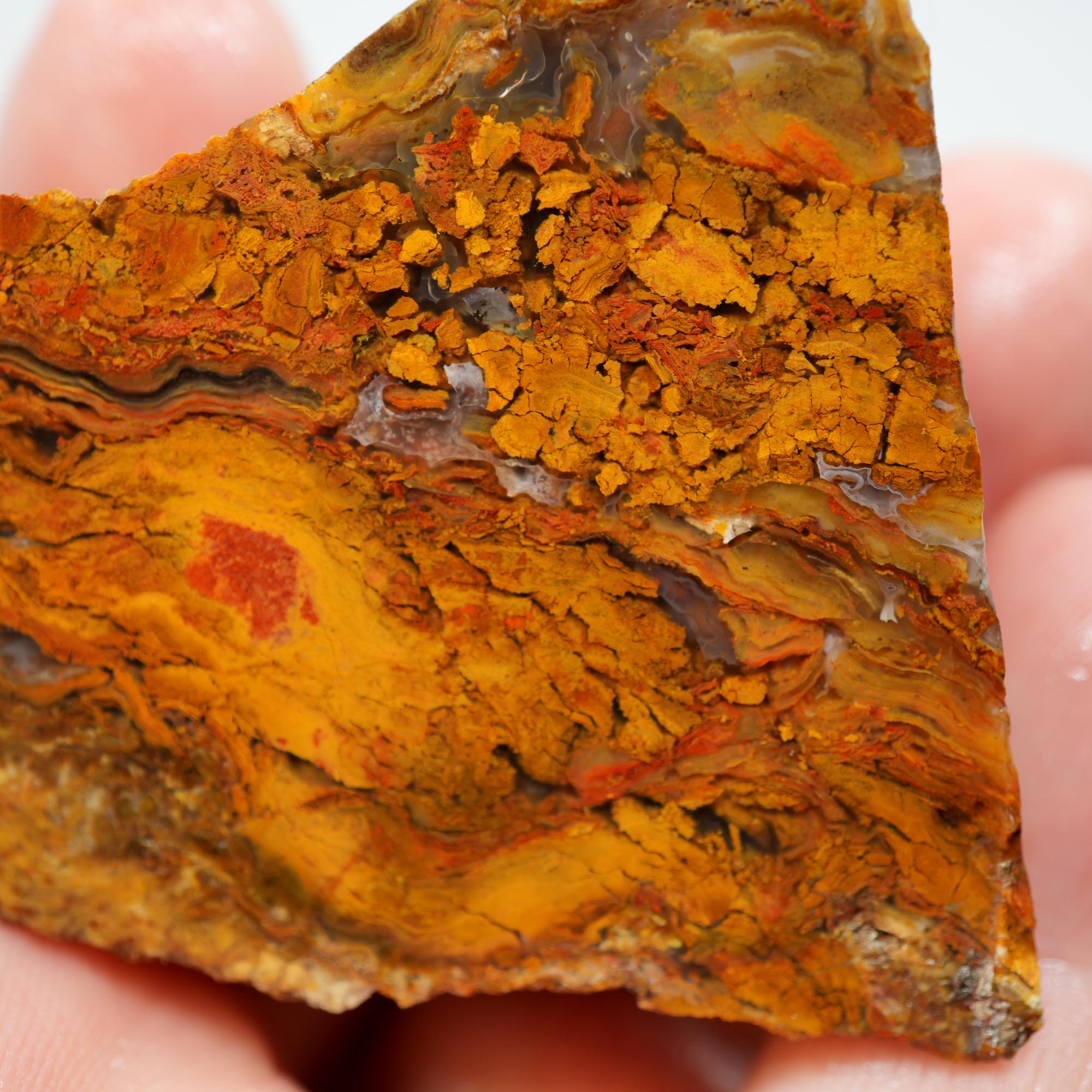 Jumpin' Jeep Plume Agate Rough - Butterscotch Oil Paint Pattern with Breccia