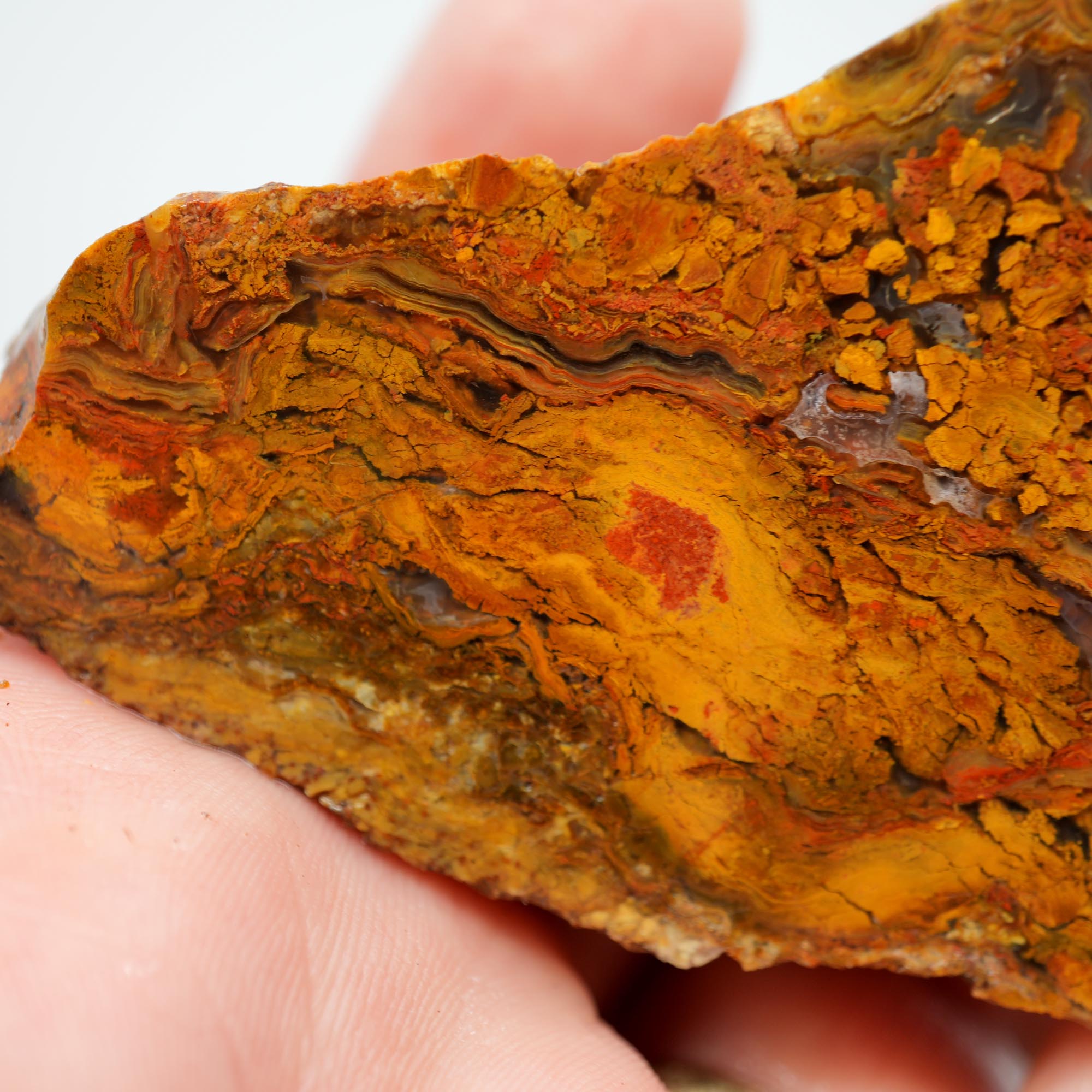 Jumpin' Jeep Plume Agate Rough - Butterscotch Oil Paint Pattern with Breccia