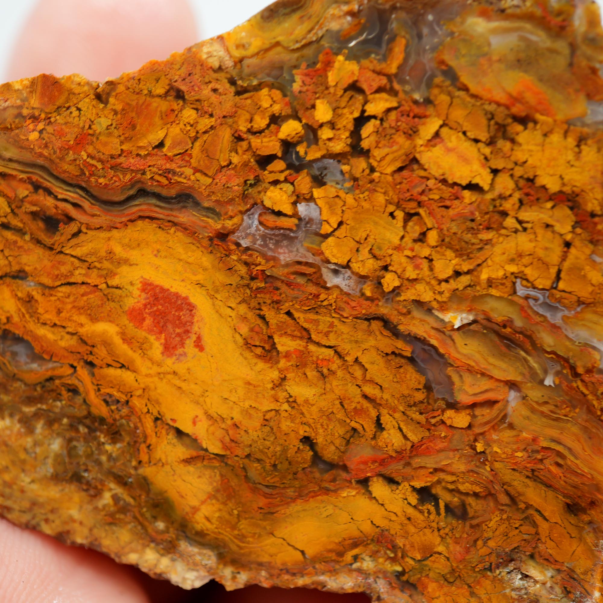 Jumpin' Jeep Plume Agate Rough - Butterscotch Oil Paint Pattern with Breccia