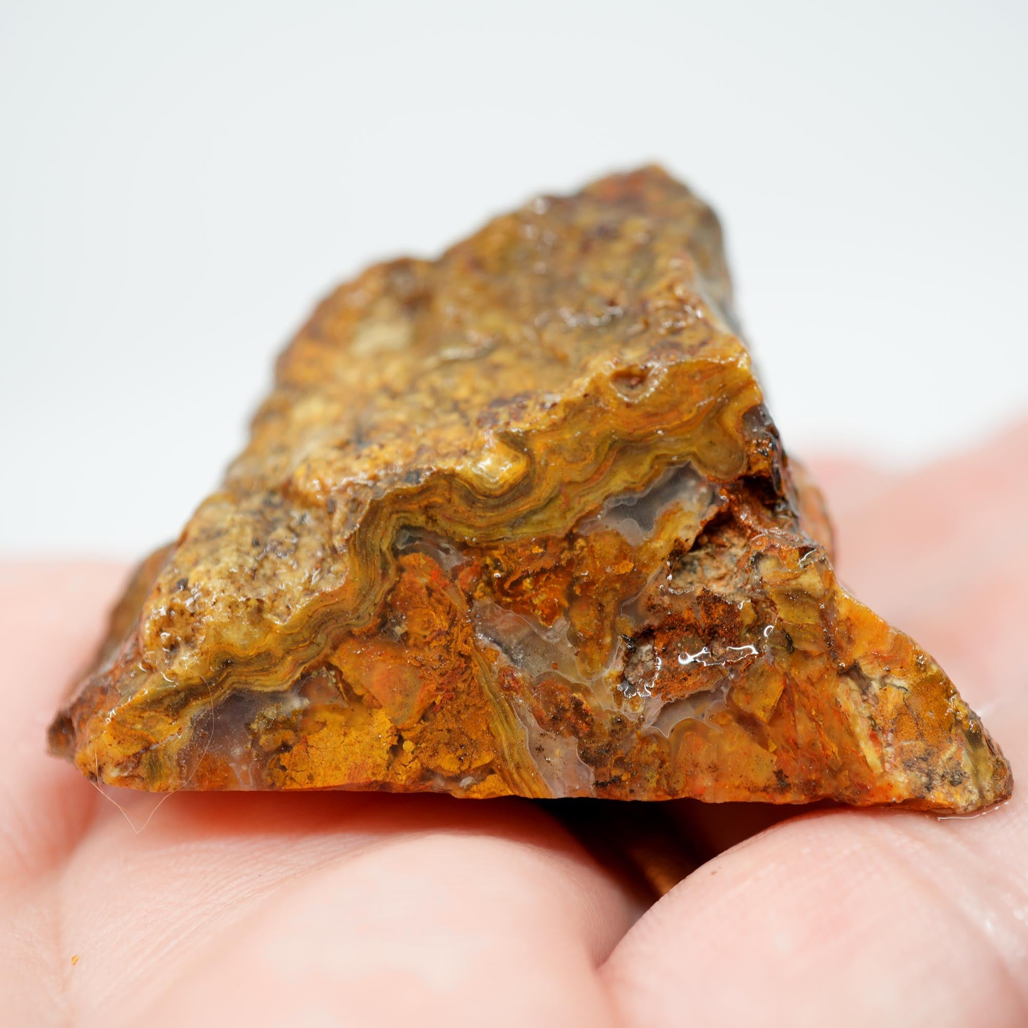 Jumpin' Jeep Plume Agate Rough - Butterscotch Oil Paint Pattern with Breccia