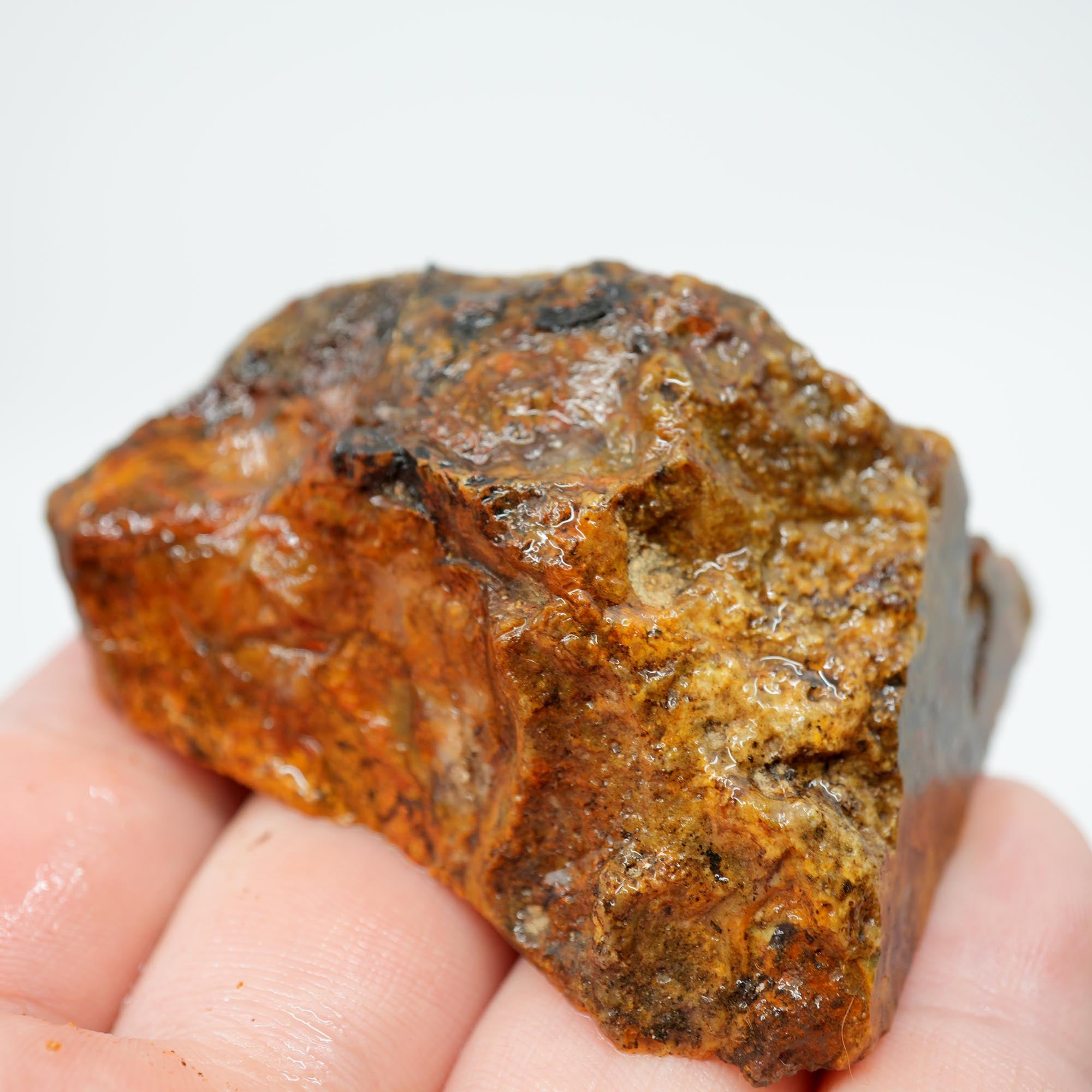 Jumpin' Jeep Plume Agate Rough - Butterscotch Oil Paint Pattern with Breccia