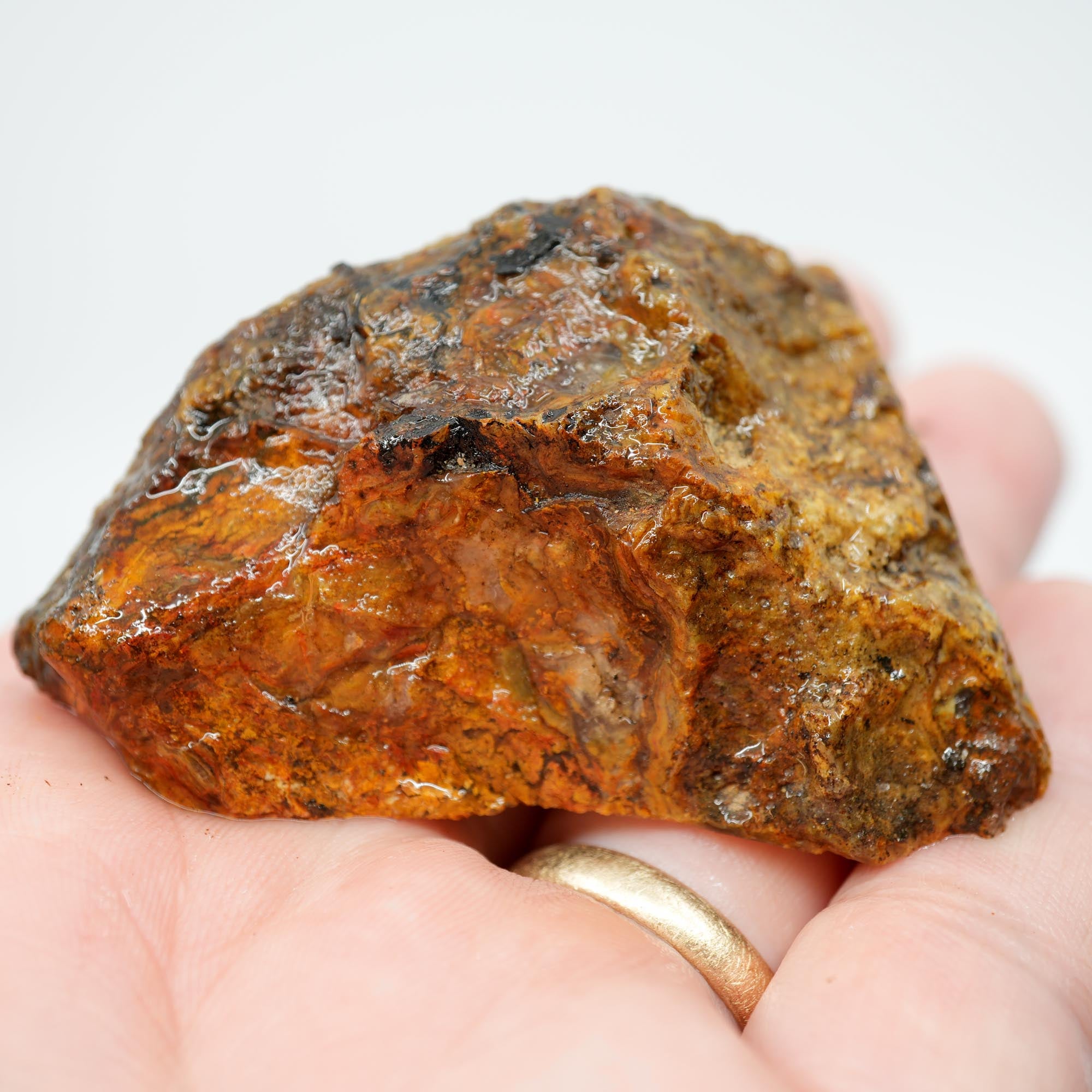 Jumpin' Jeep Plume Agate Rough - Butterscotch Oil Paint Pattern with Breccia