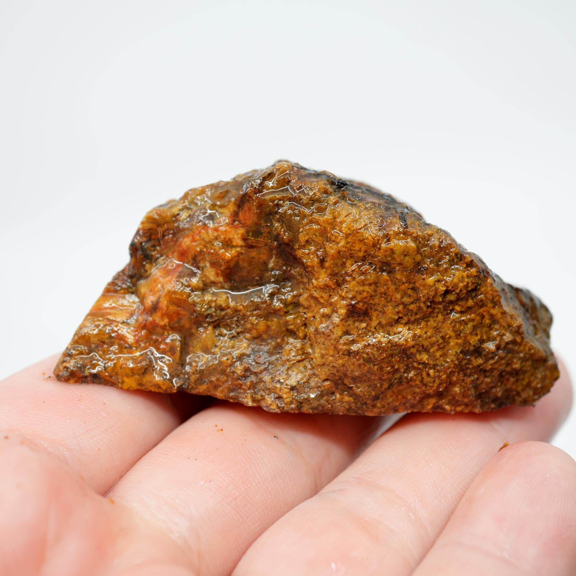 Jumpin' Jeep Plume Agate Rough - Butterscotch Oil Paint Pattern with Breccia