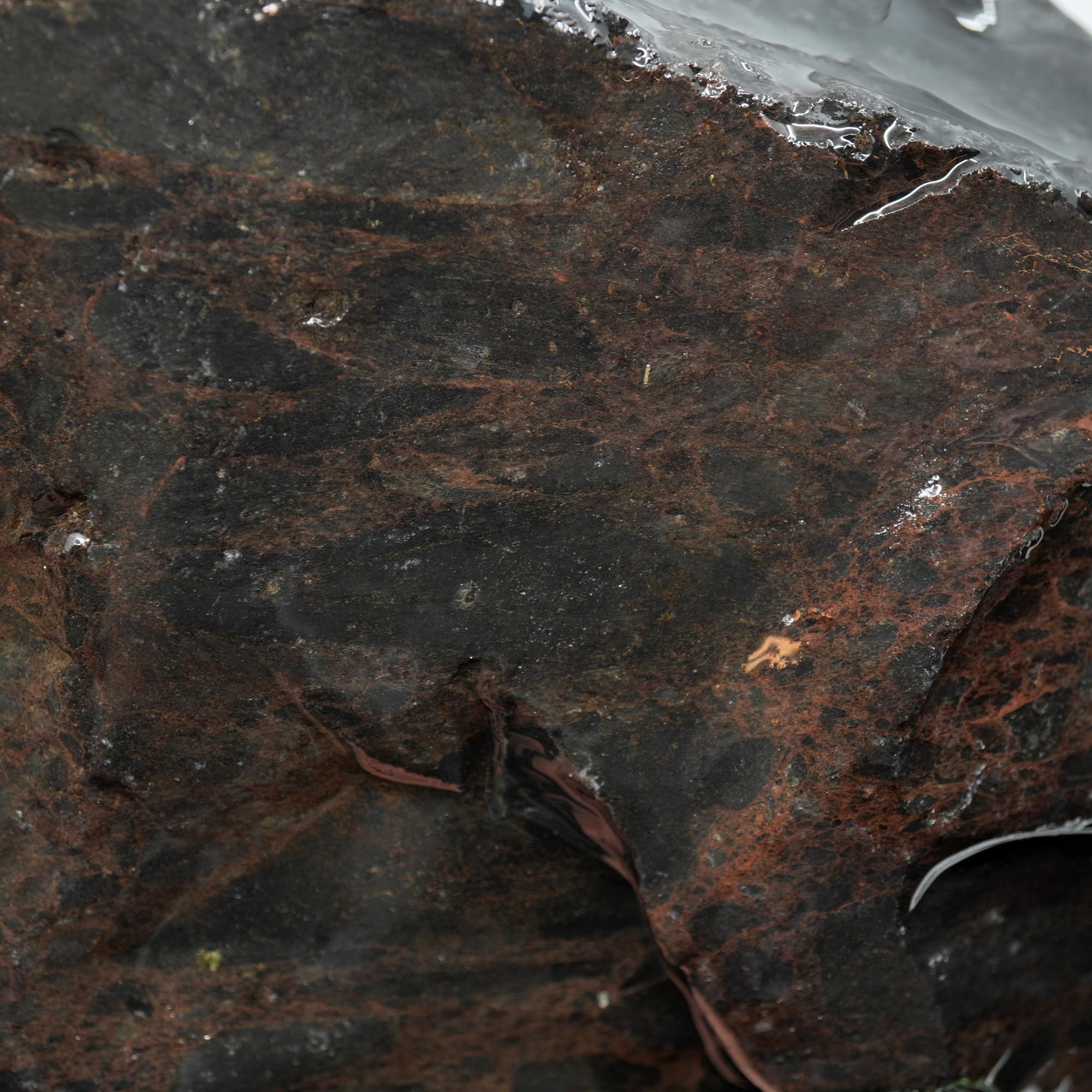 Mahogany Obsidian Rough - Dark Smoky Variant from Glass Butte