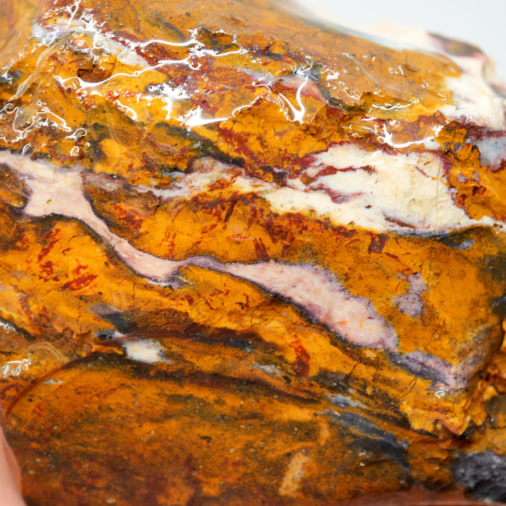 Indian Blanket Jasper Rough - Butterscotch with White Clouds and Purple Pink