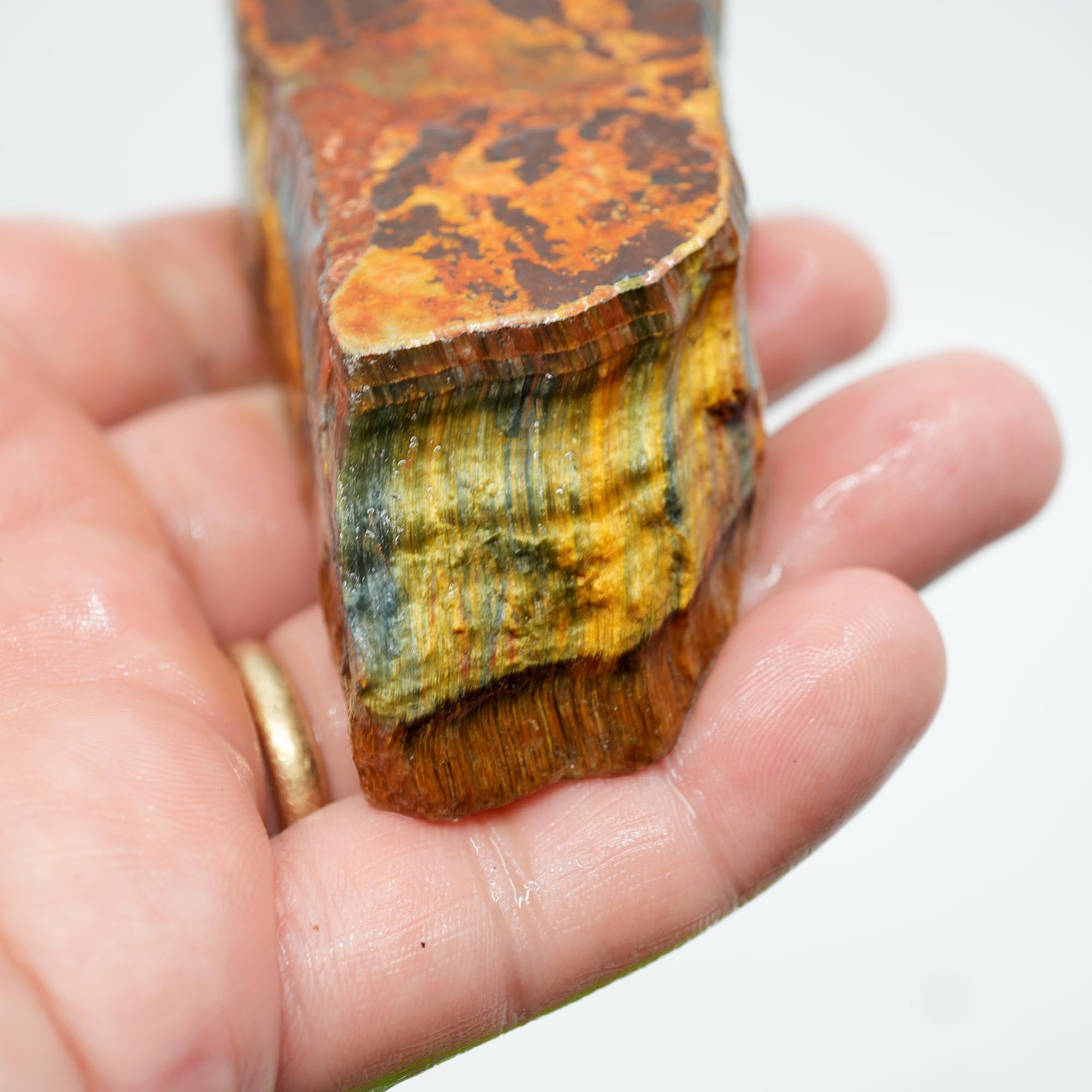 Hawkeye Tiger Eye Rough - Old Stock Blue and Gold Flame Patterns