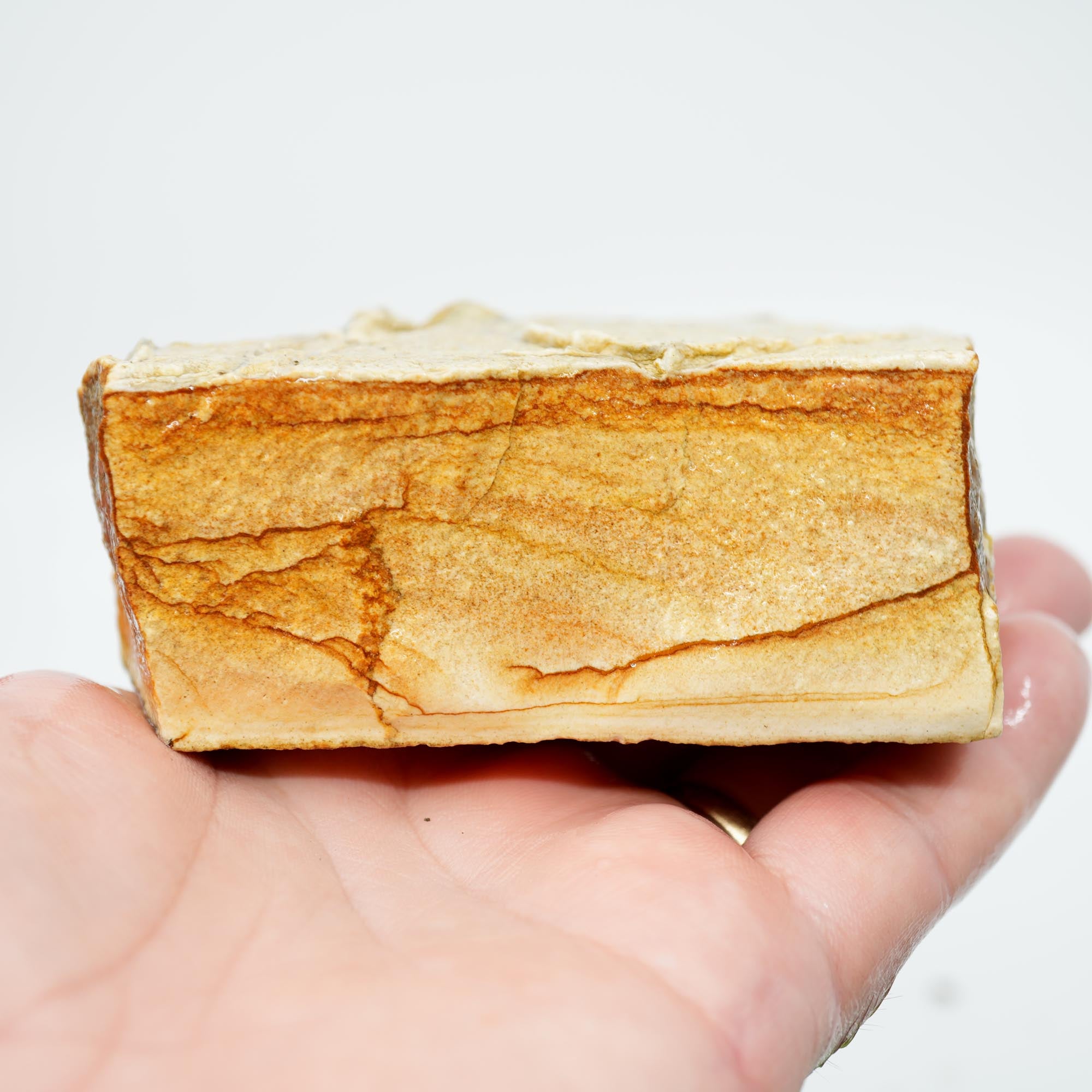 Chicken Track Jasper Rough - Rolling Desert Hills Pattern Old Stock
