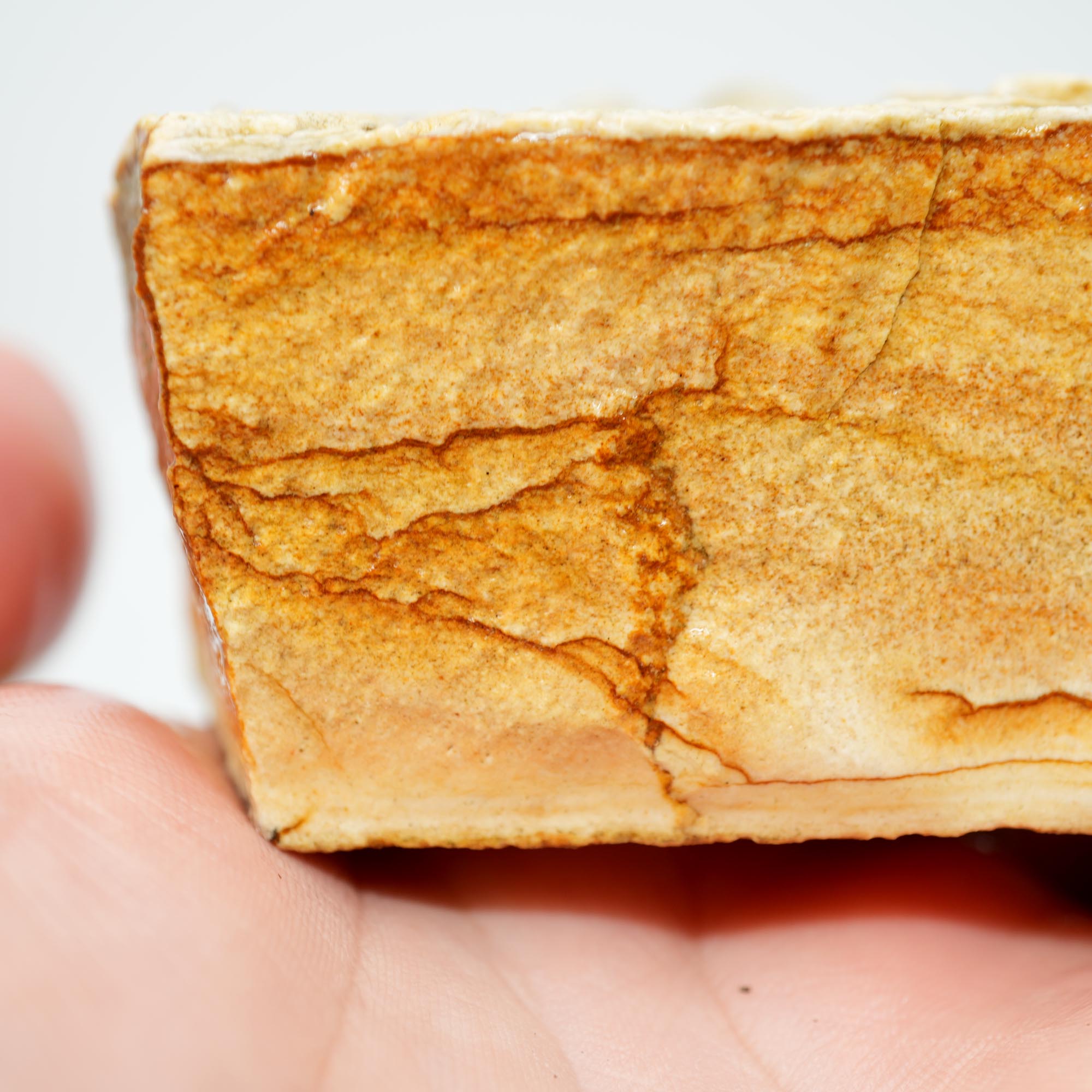 Chicken Track Jasper Rough - Rolling Desert Hills Pattern Old Stock