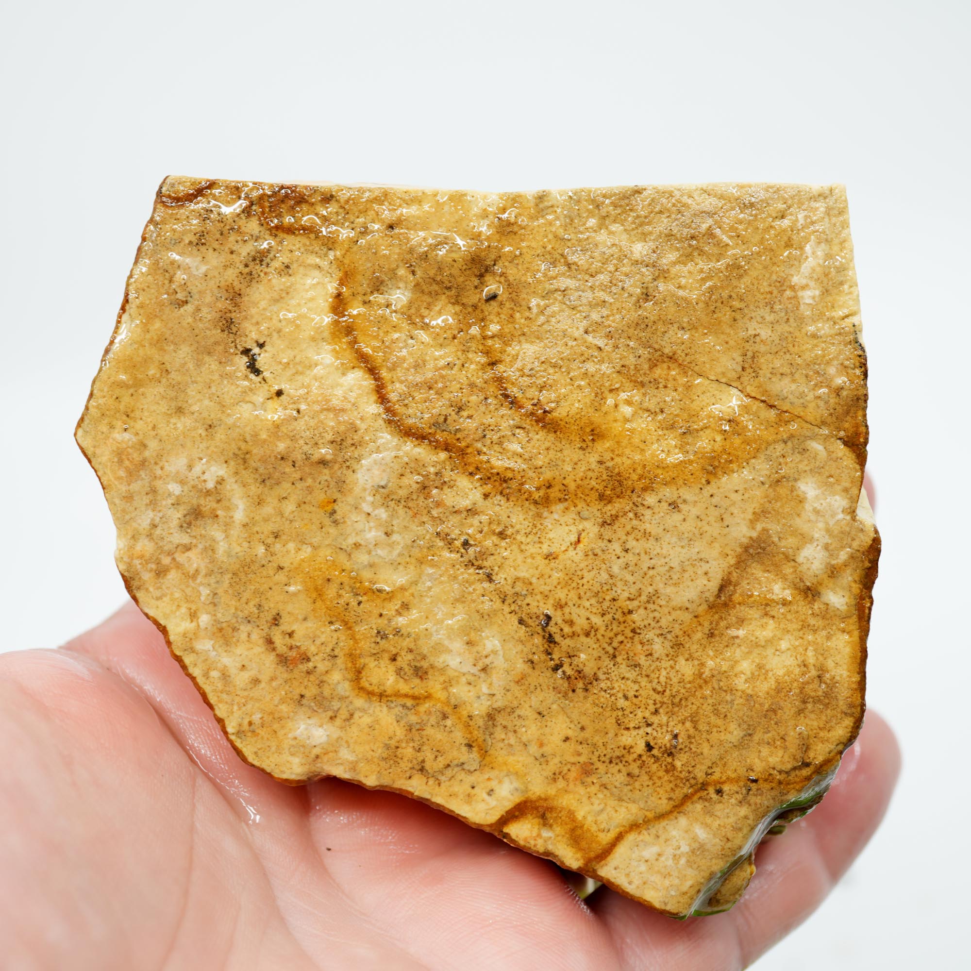Chicken Track Jasper Rough - Rolling Desert Hills Pattern Old Stock