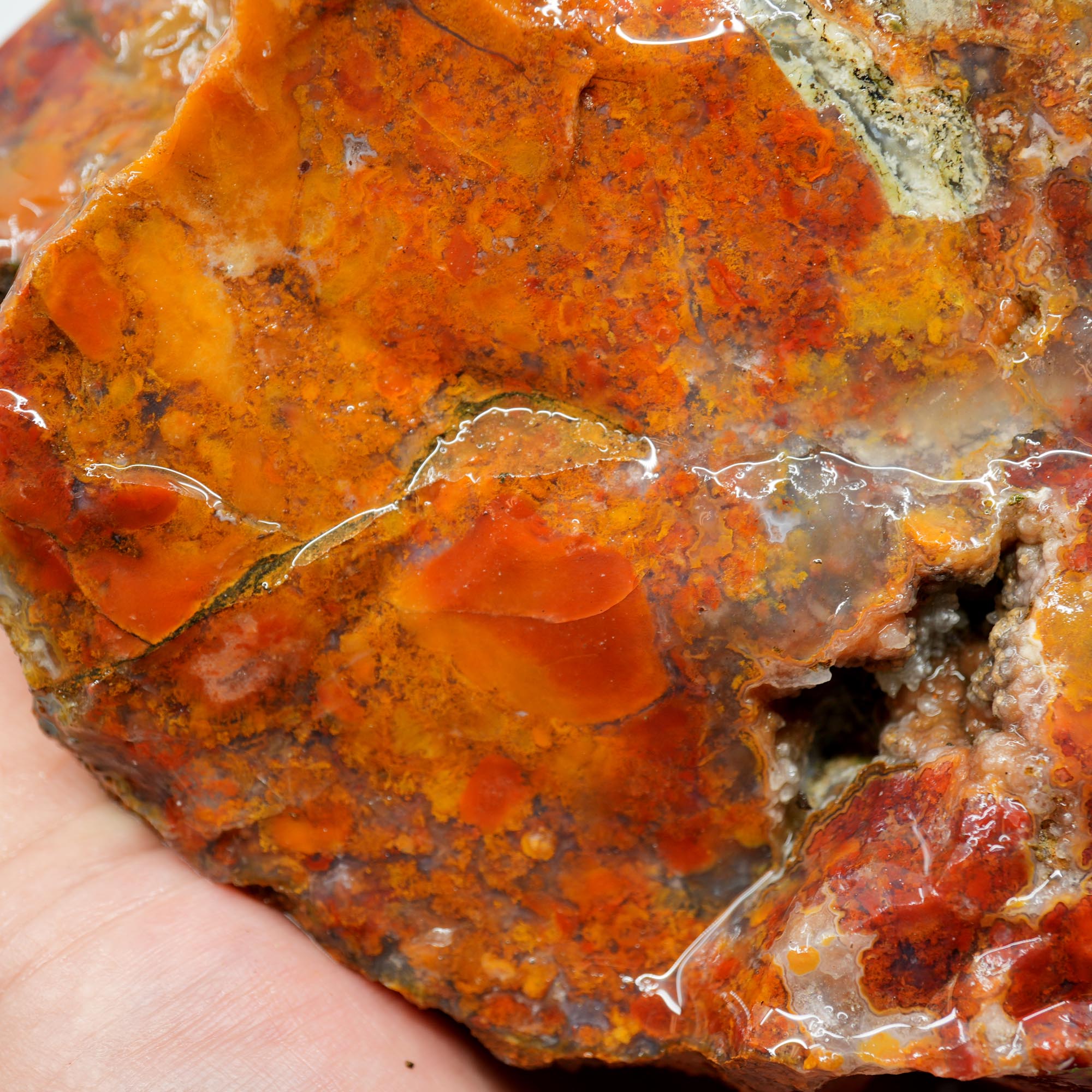 Mystery Agate Rough - Large High-Grade Cutter with Druzy Pocket