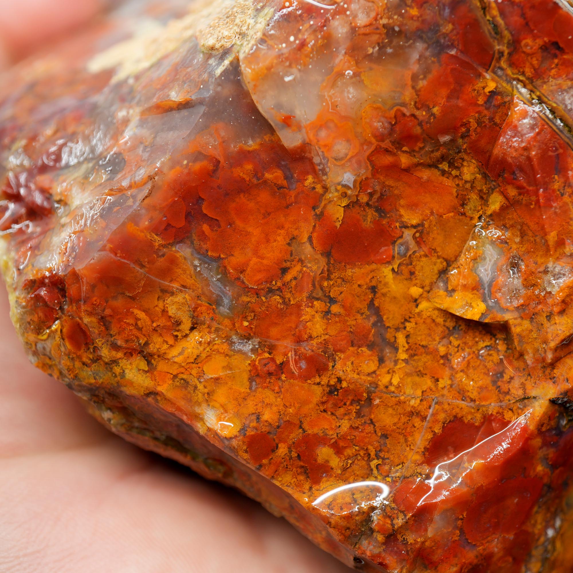 Mystery Agate Rough - Large High-Grade Cutter with Druzy Pocket