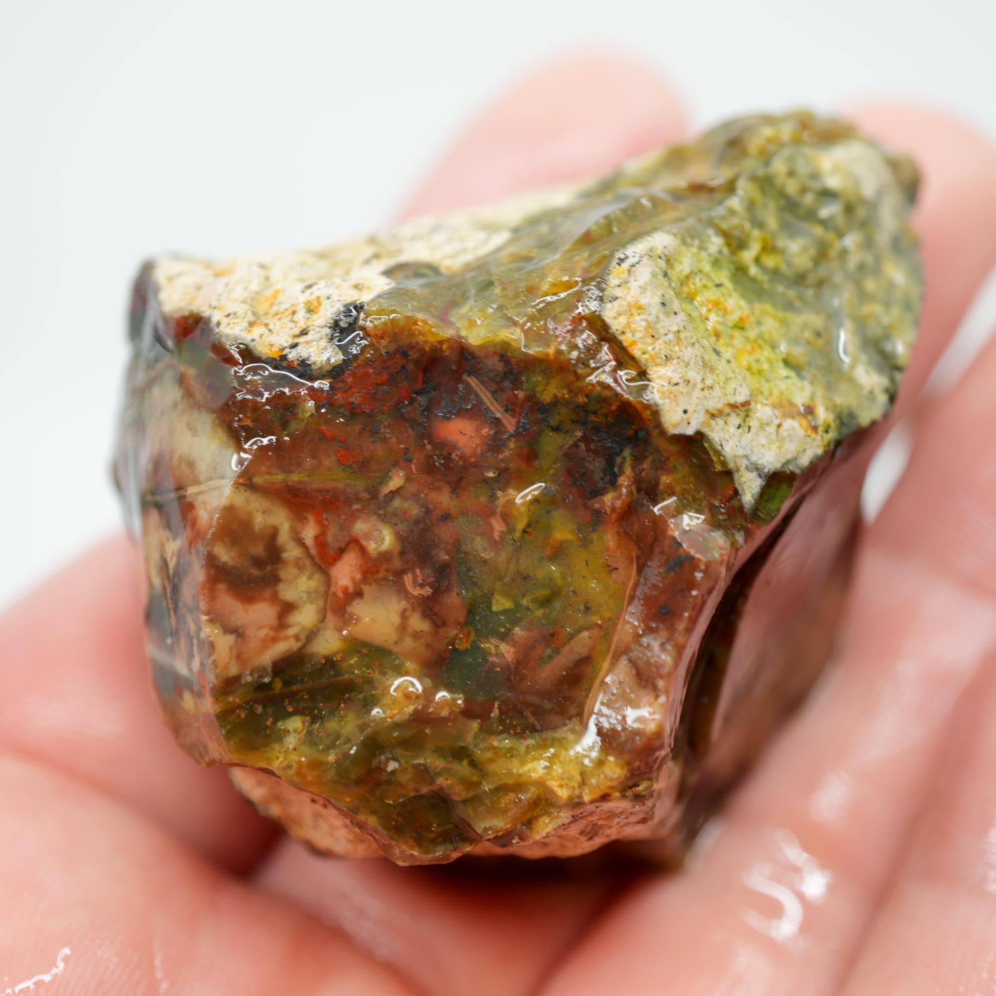 Morrisonite Jasper Rough - Original Digs Trimmer Purple and Green