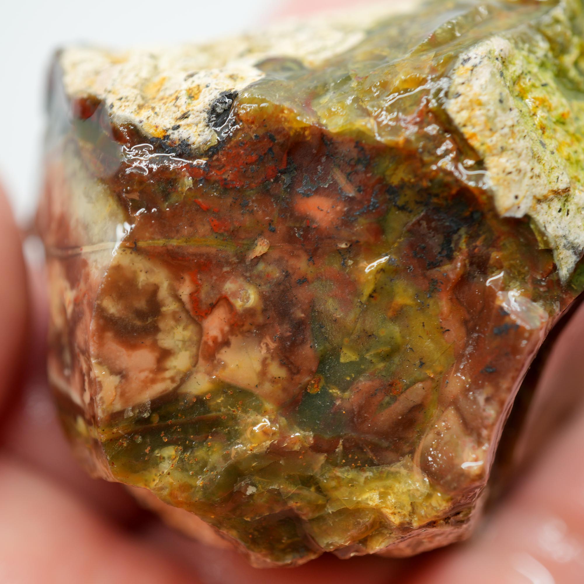 Morrisonite Jasper Rough - Original Digs Trimmer Purple and Green