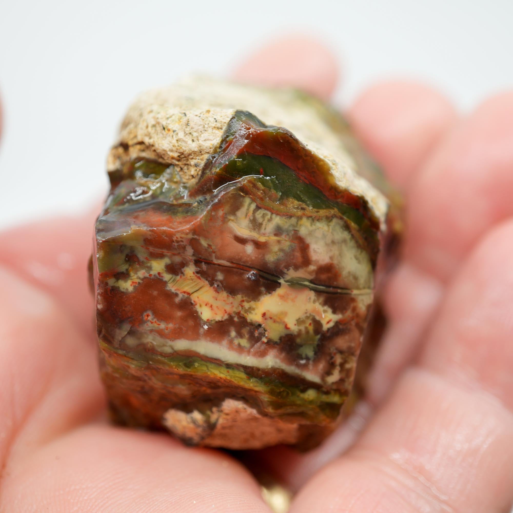 Morrisonite Jasper Rough - Original Digs Trimmer Purple and Green