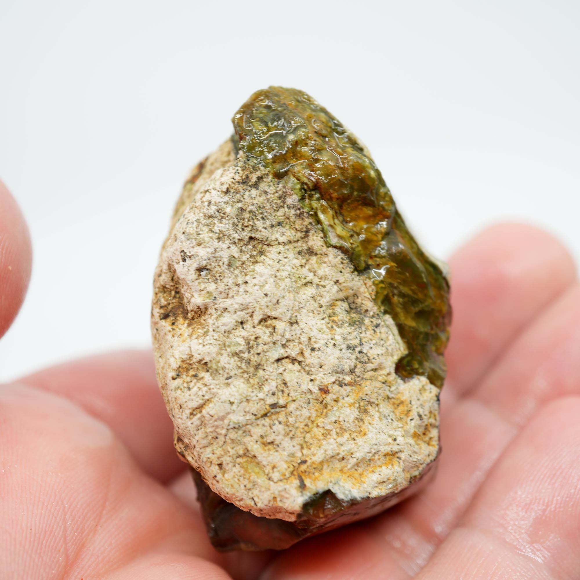 Morrisonite Jasper Rough - Original Digs Trimmer Purple and Green