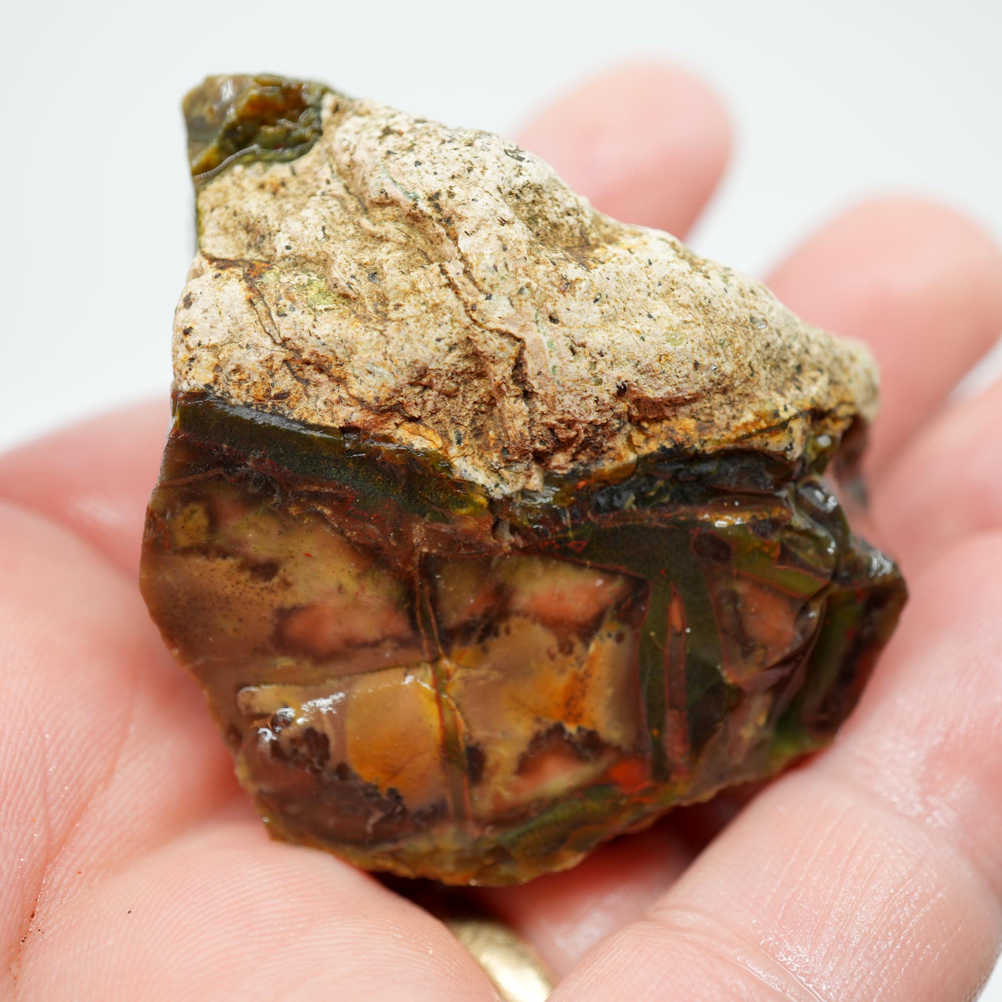 Morrisonite Jasper Rough - Original Digs Trimmer Purple and Green