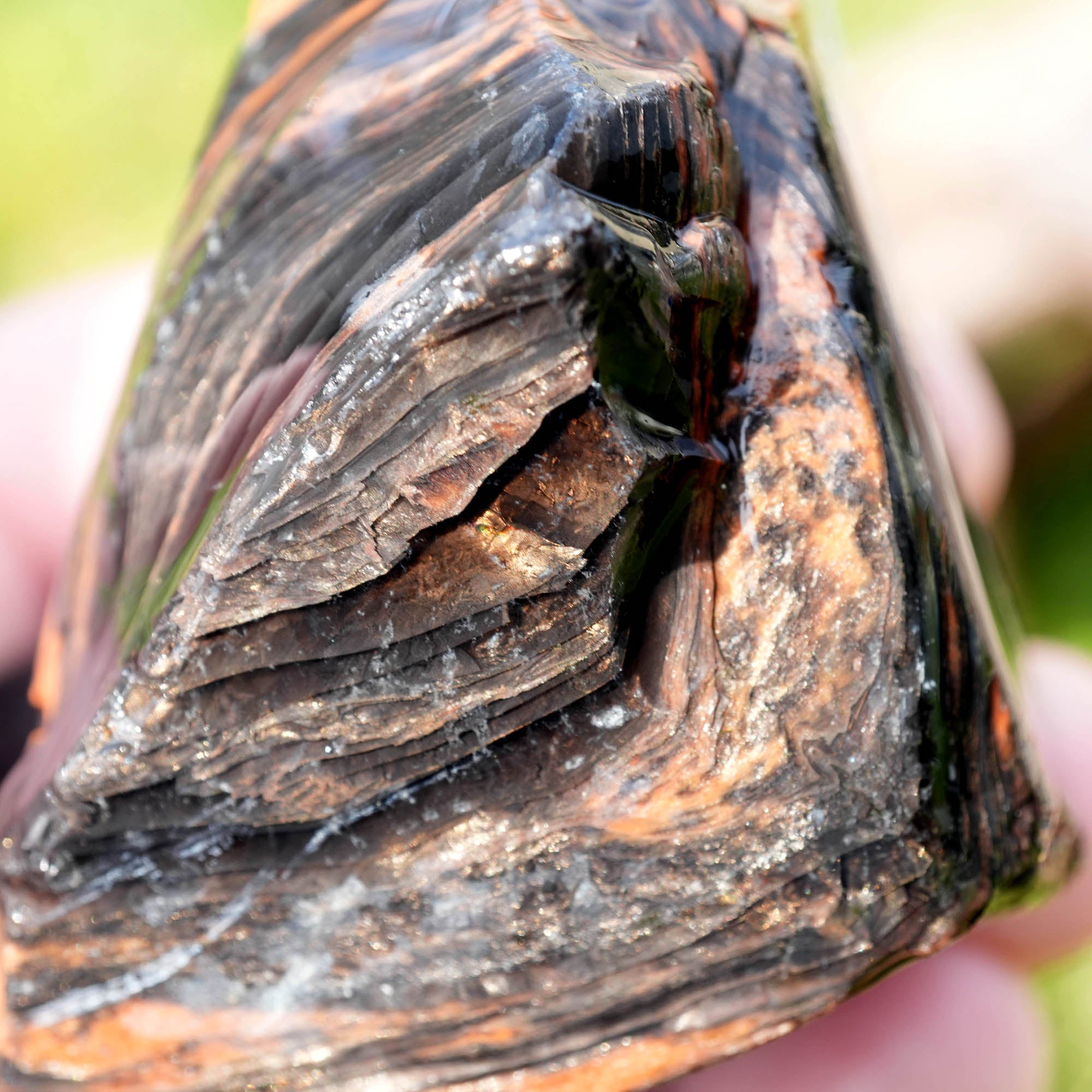 Fire Obsidian Rough - Light Fire Peeking Along Top