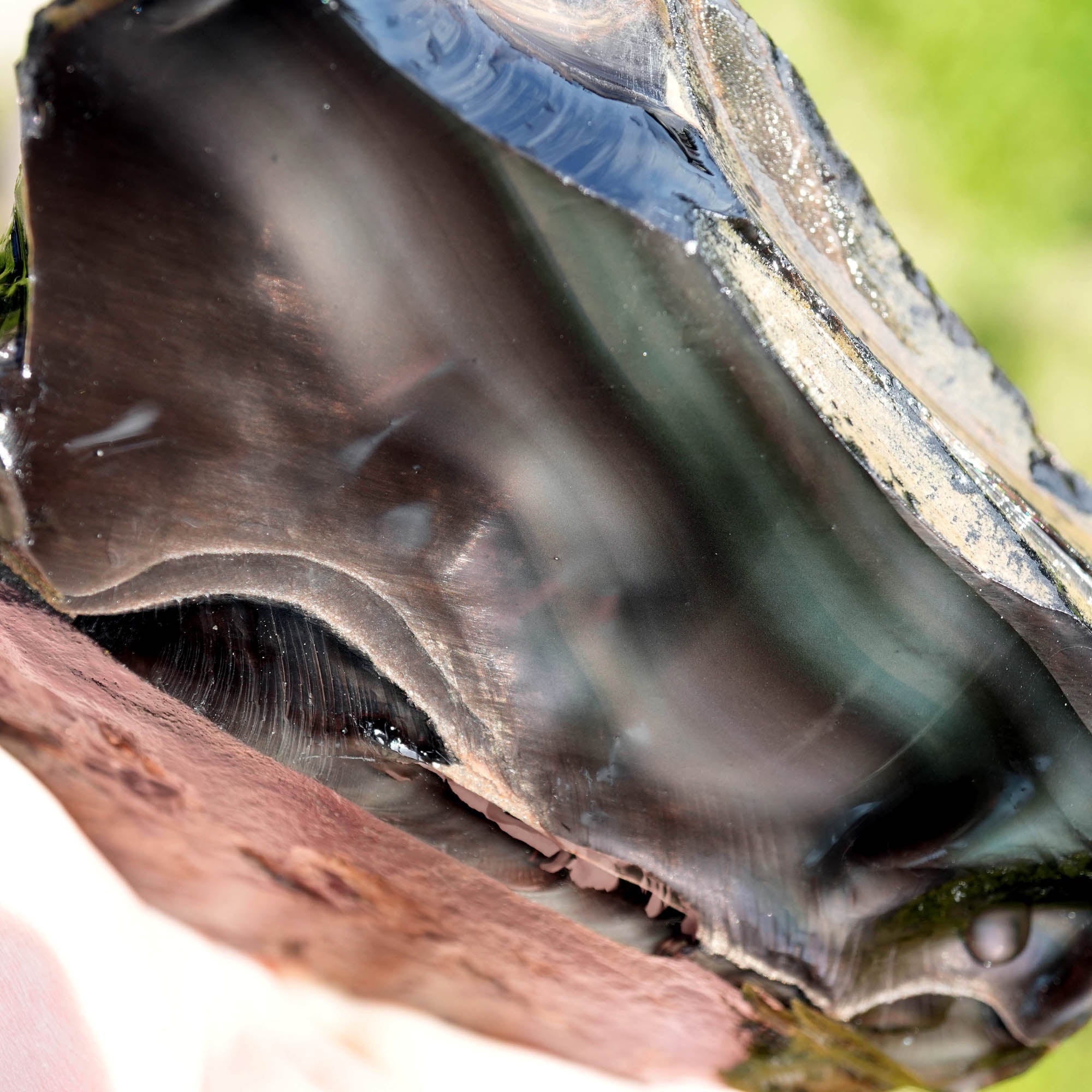 Aurora Borealis Obsidian Rough - Old Stock with Fantastic Aurora Window