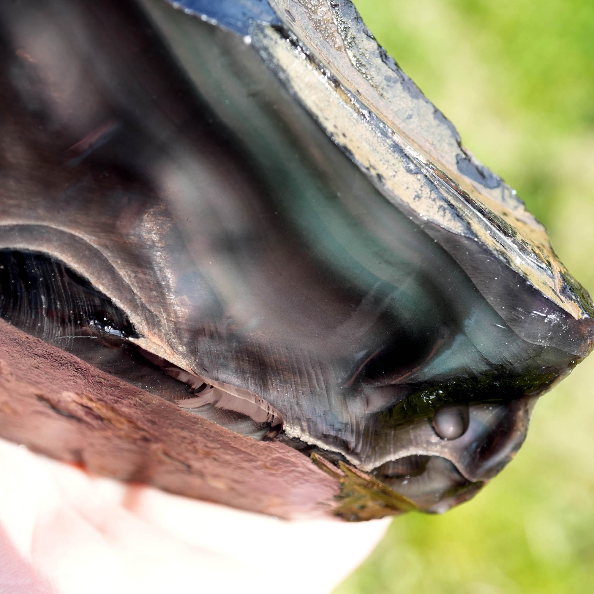Aurora Borealis Obsidian Rough - Old Stock with Fantastic Aurora Window