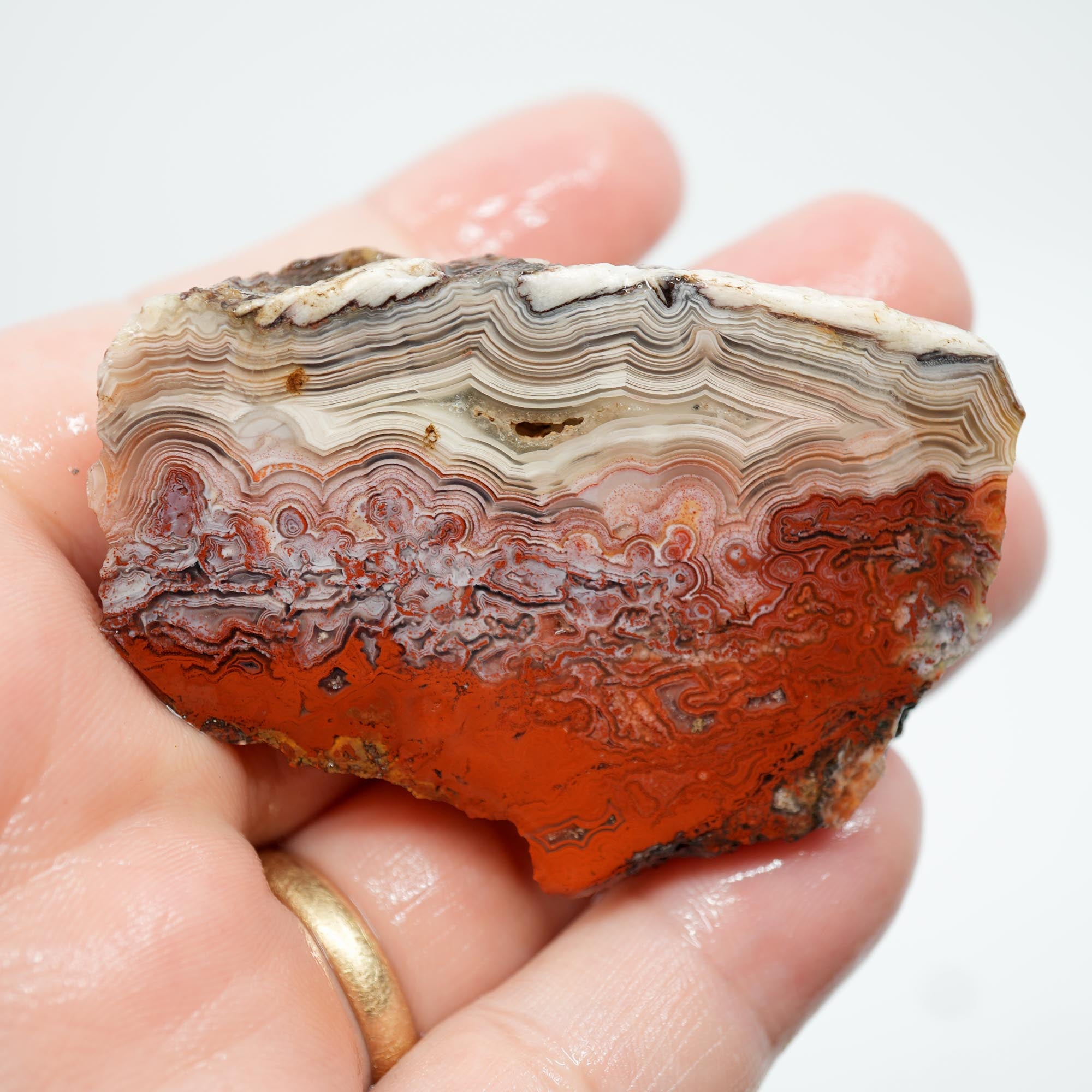 Laguna Lace Agate Endcut - Light Pink, Bright Red, White Fortification