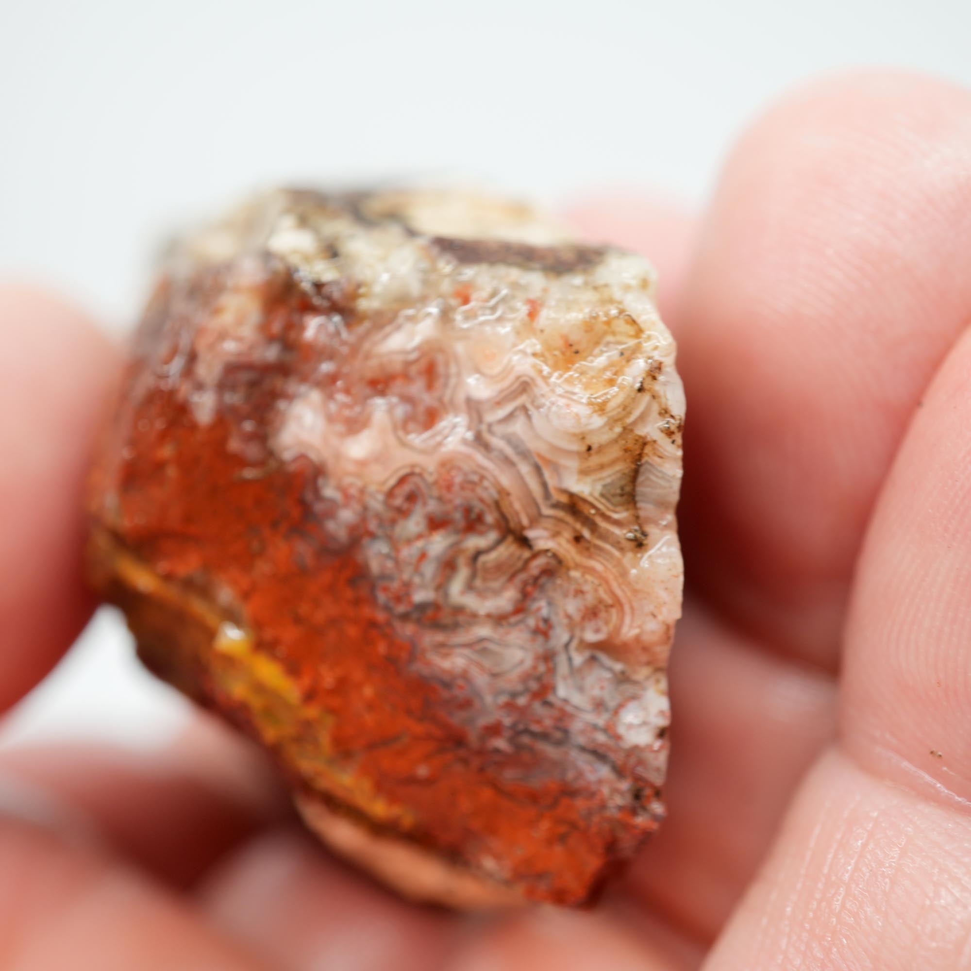 Laguna Lace Agate Endcut - Light Pink, Bright Red, White Fortification