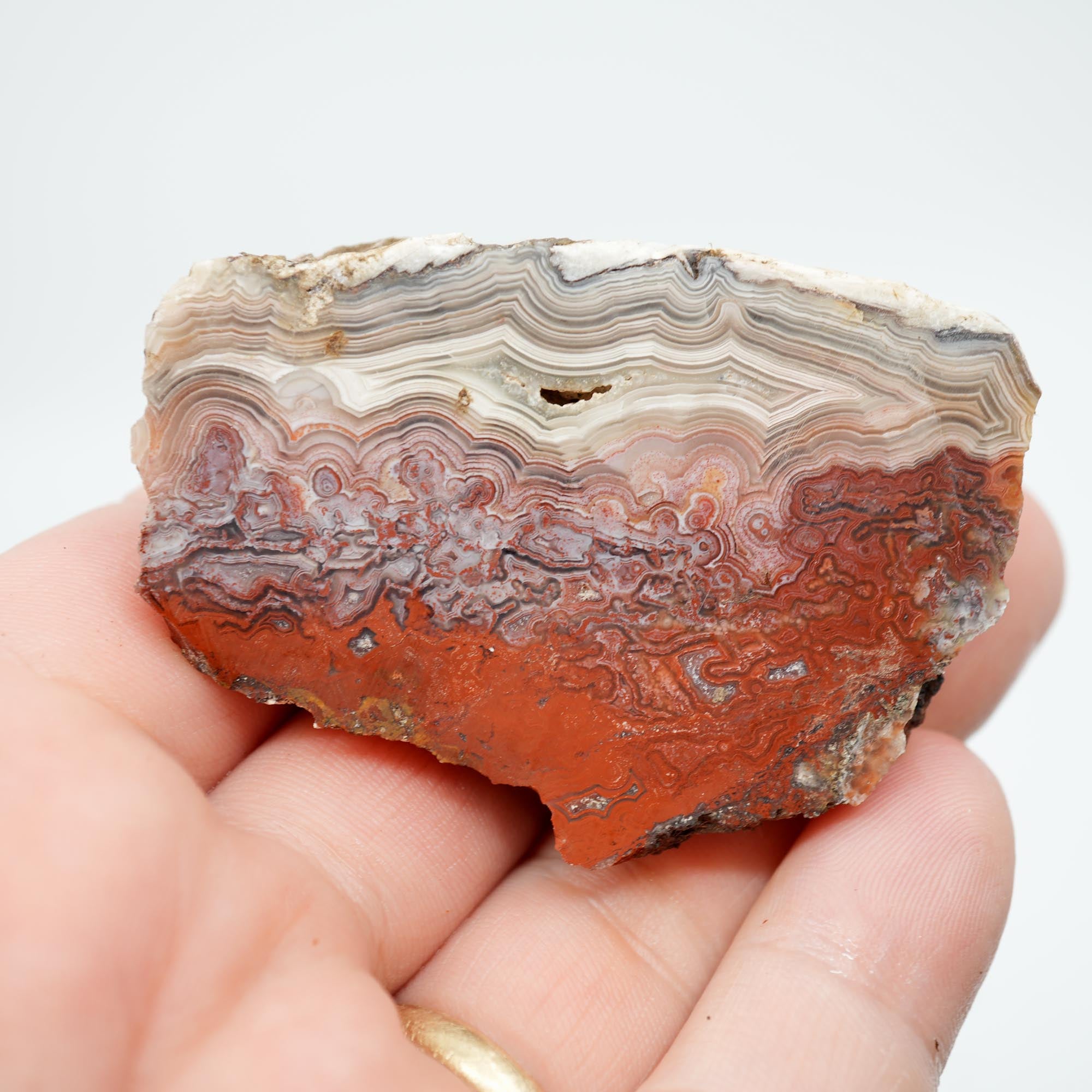 Laguna Lace Agate Endcut - Light Pink, Bright Red, White Fortification