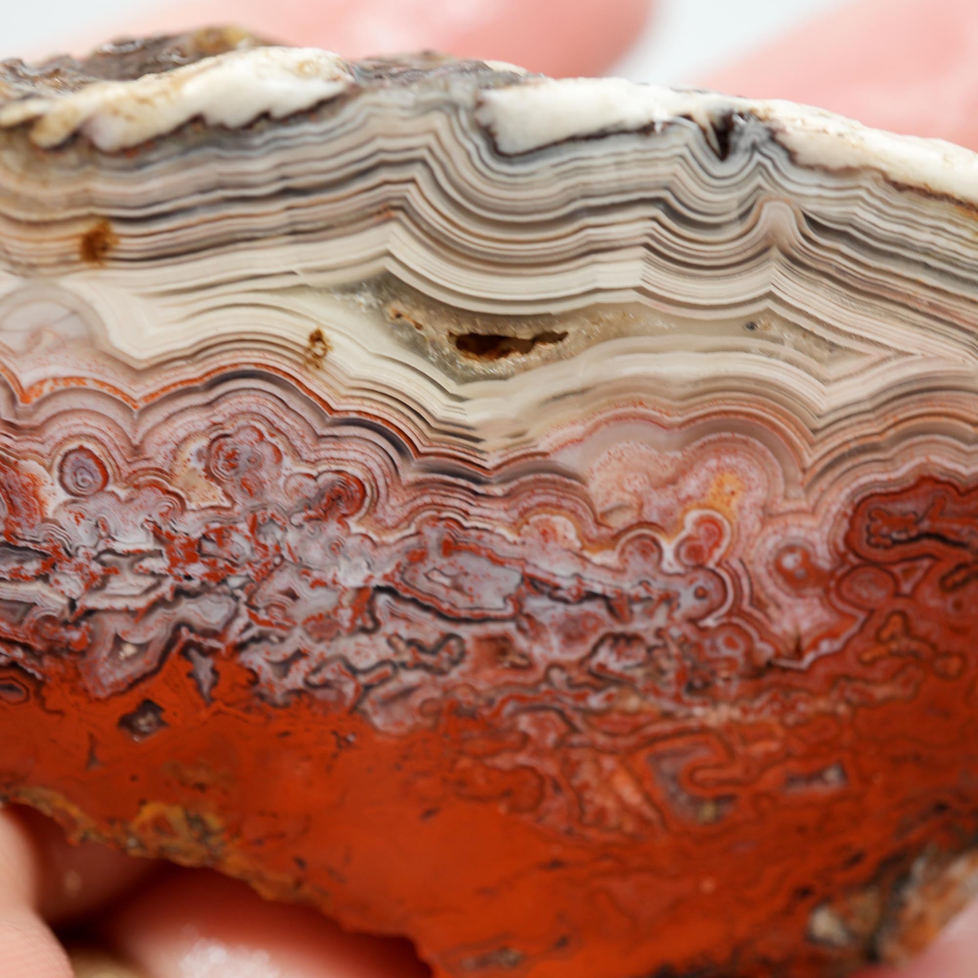 Laguna Lace Agate Endcut - Light Pink, Bright Red, White Fortification