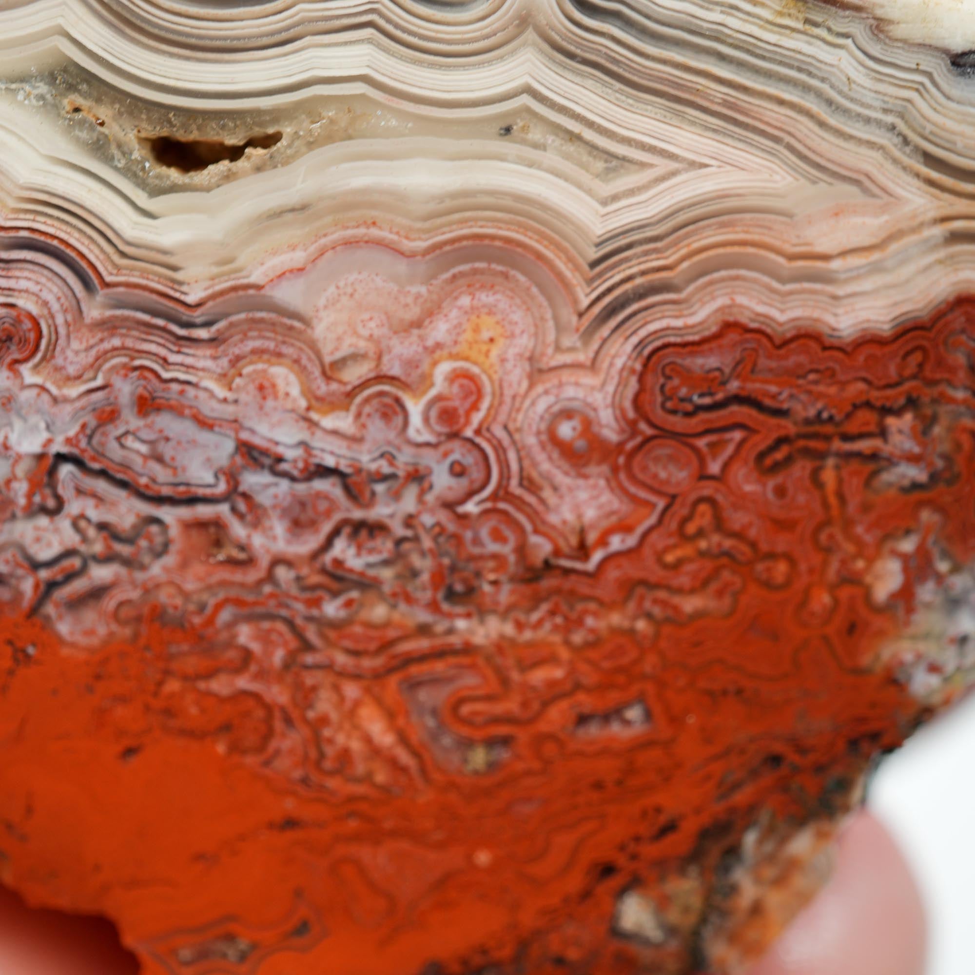 Laguna Lace Agate Endcut - Light Pink, Bright Red, White Fortification