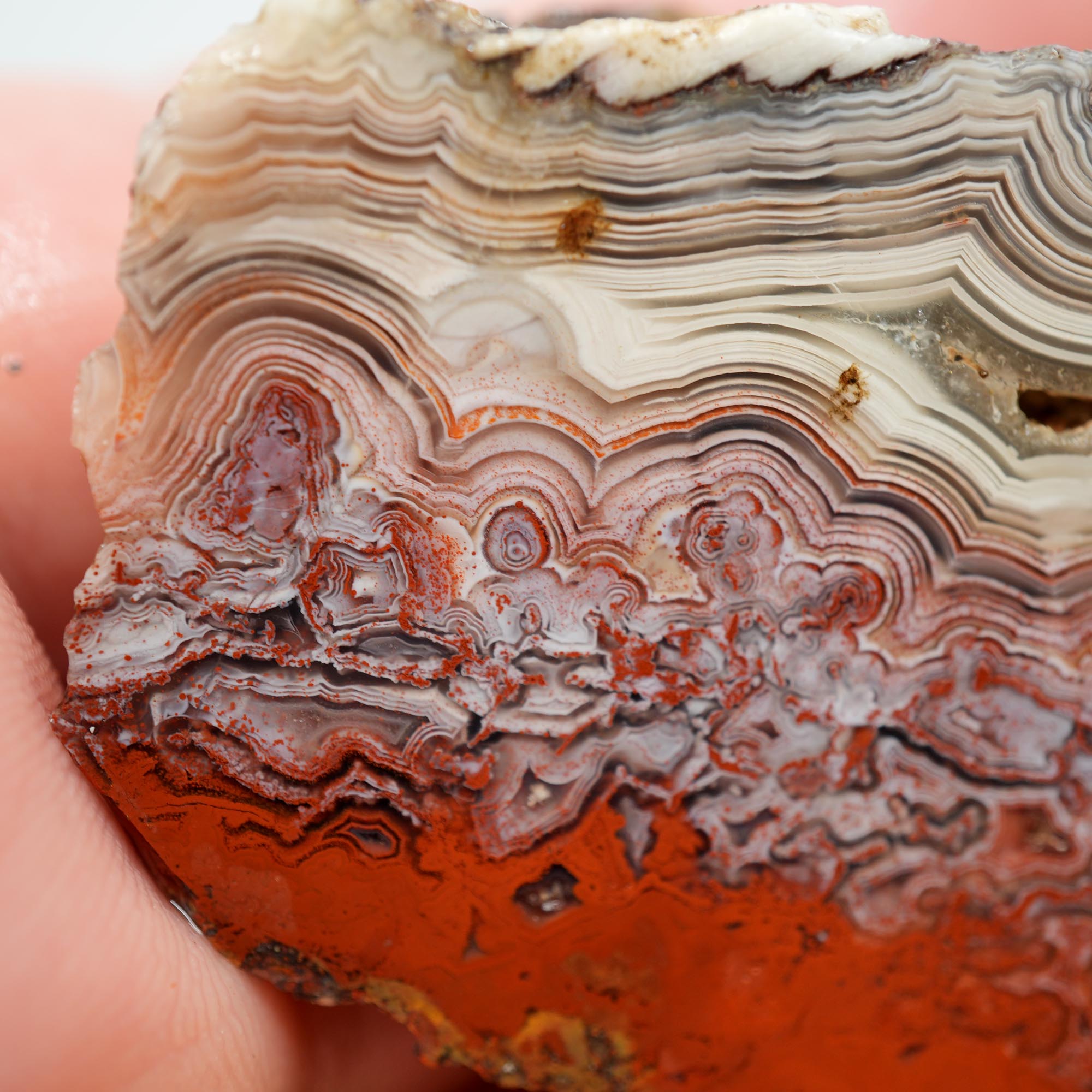 Laguna Lace Agate Endcut - Light Pink, Bright Red, White Fortification