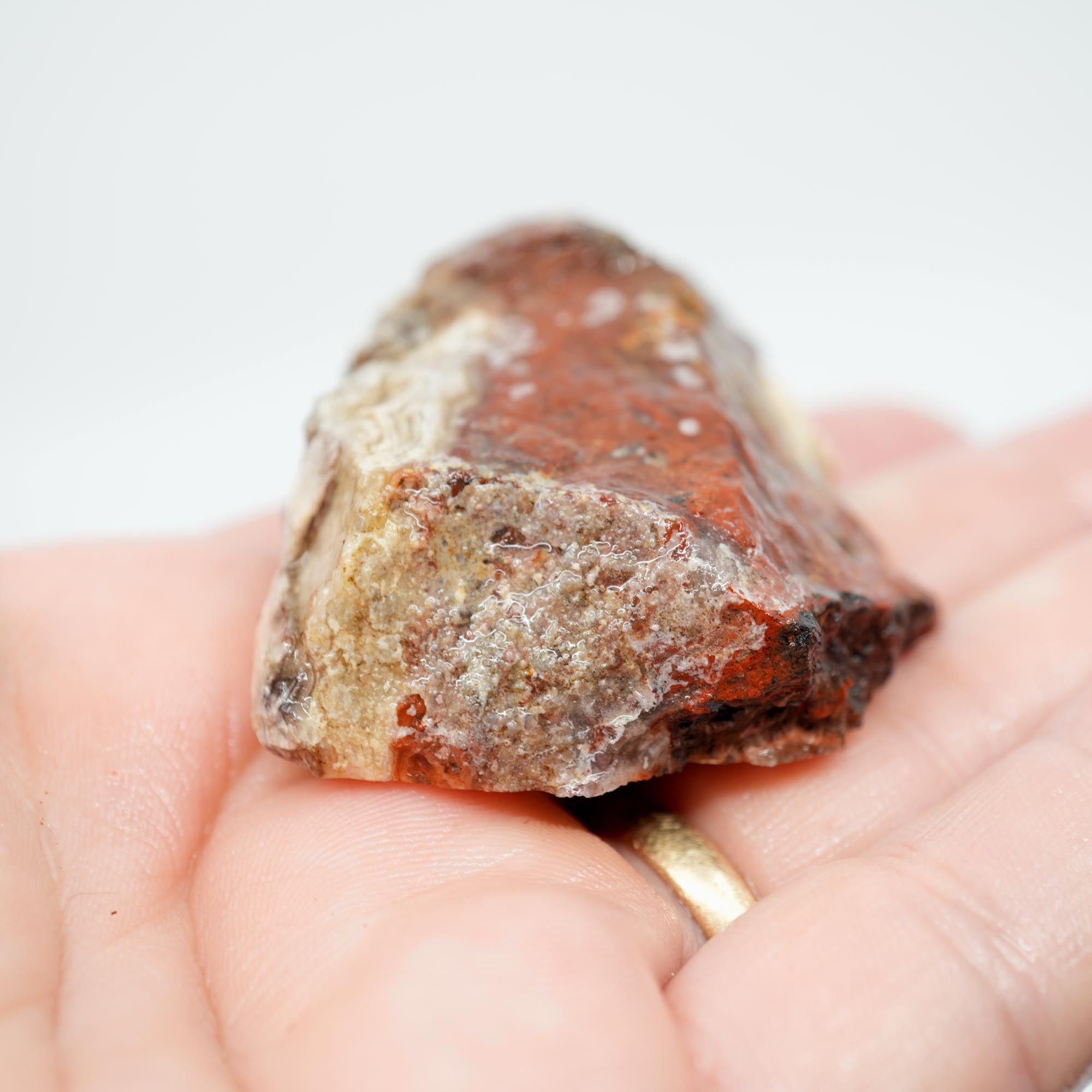 Laguna Lace Agate Endcut - Light Pink, Bright Red, White Fortification